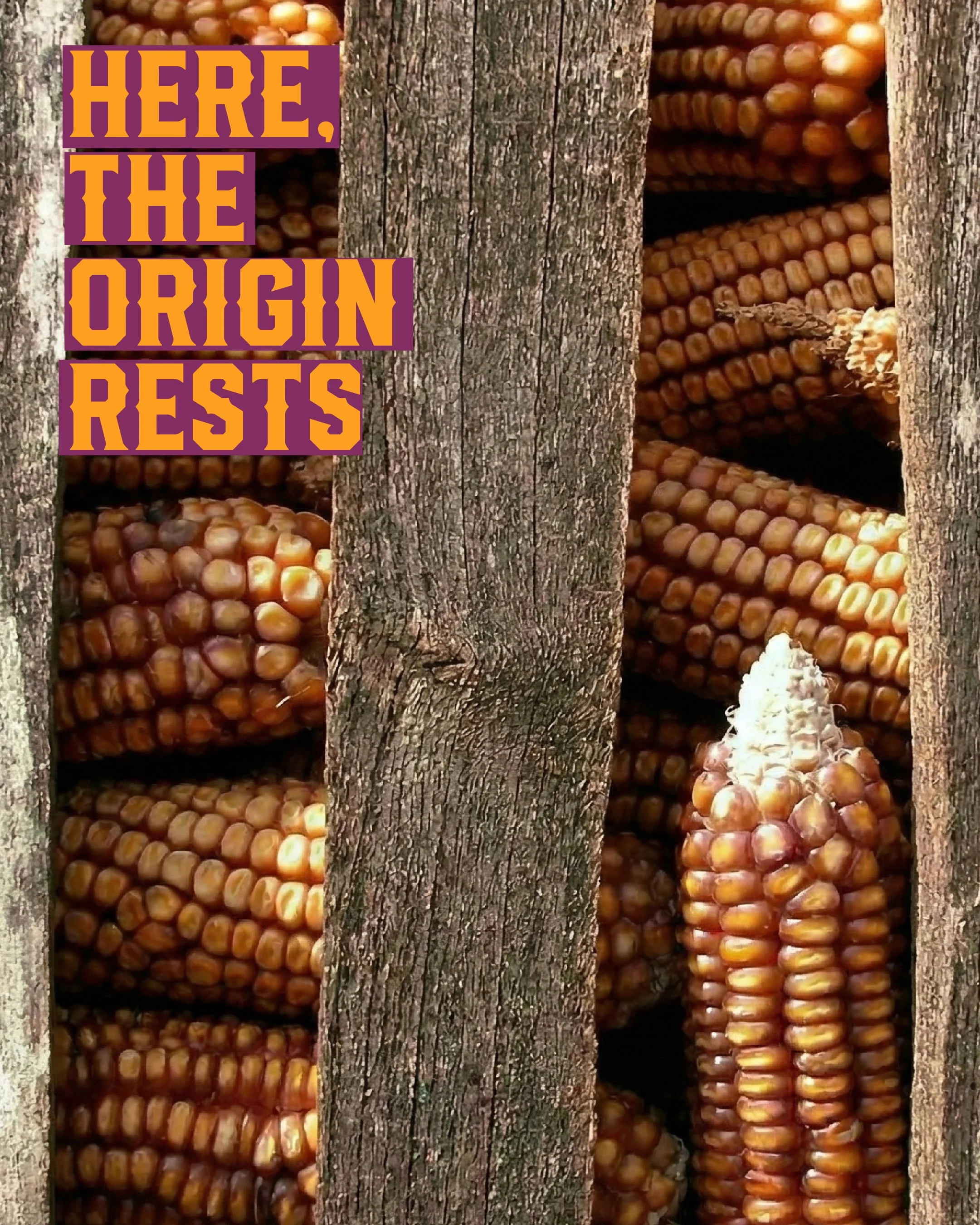 Mesa de trabajo 151.jpg