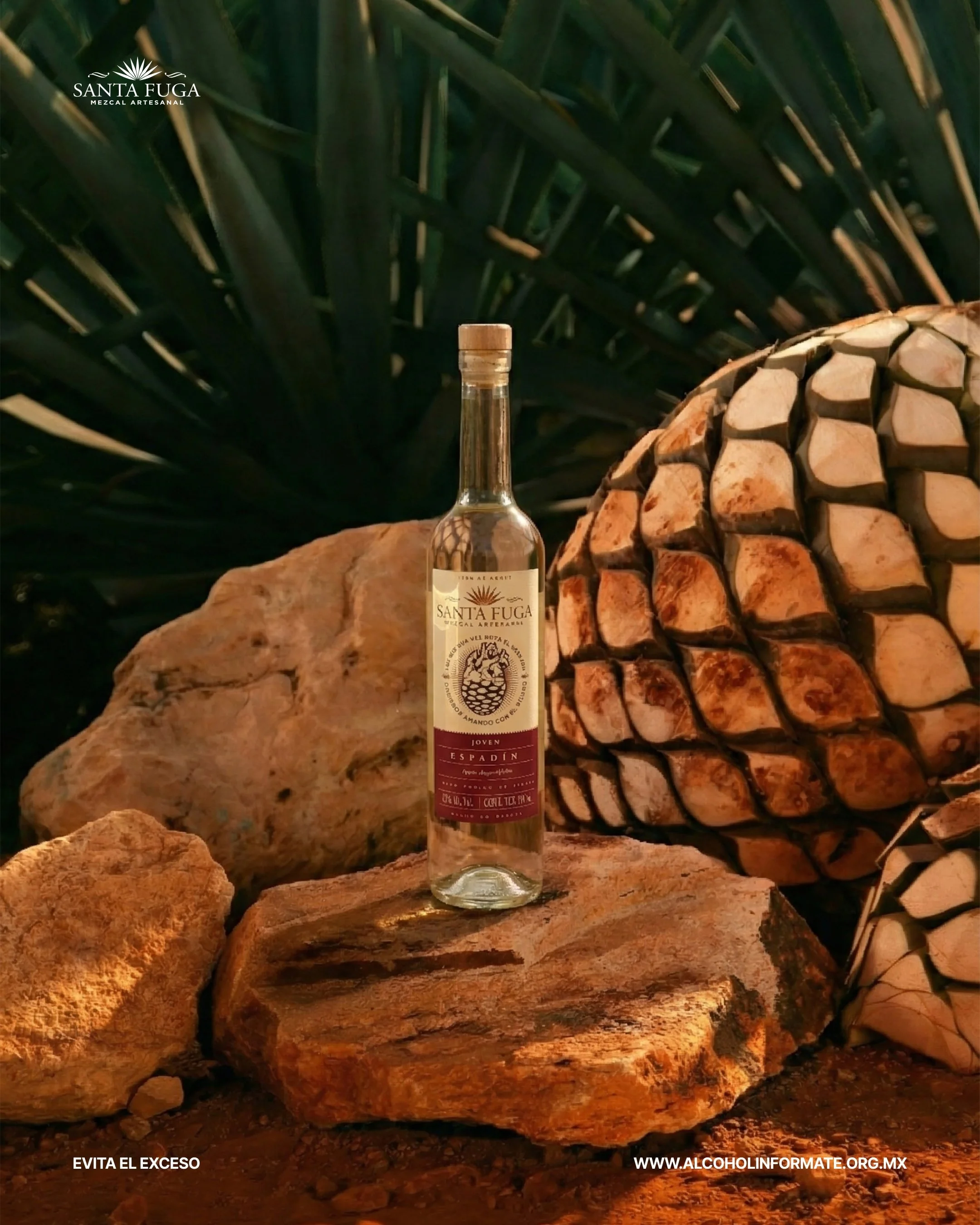 Botella de licor Santa Fuga en medio de rocas grandes, con plantas en el fondo.