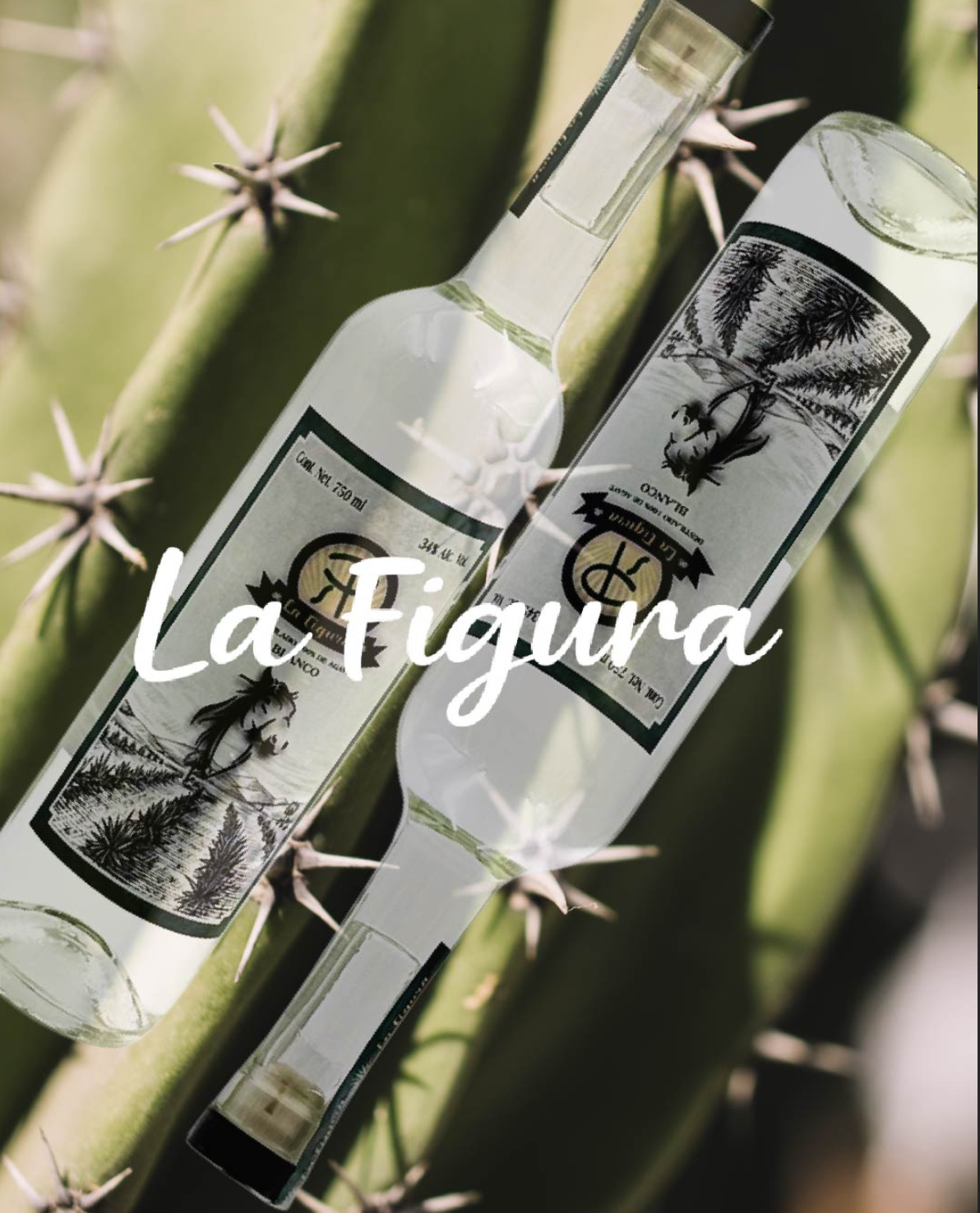 Screenshot 2025-09-09 at 9.33.52 p.m..png