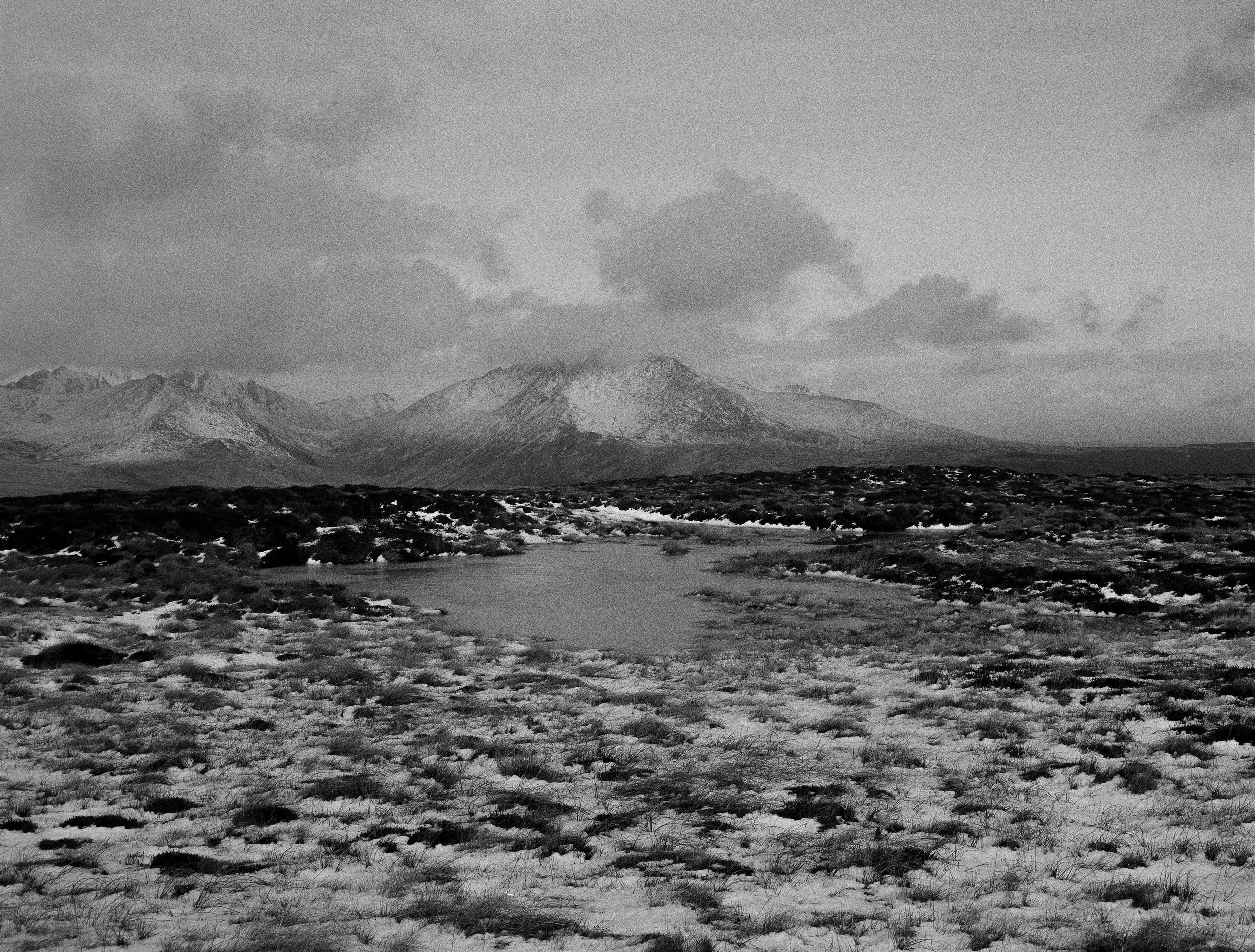 Landscape 2.jpg