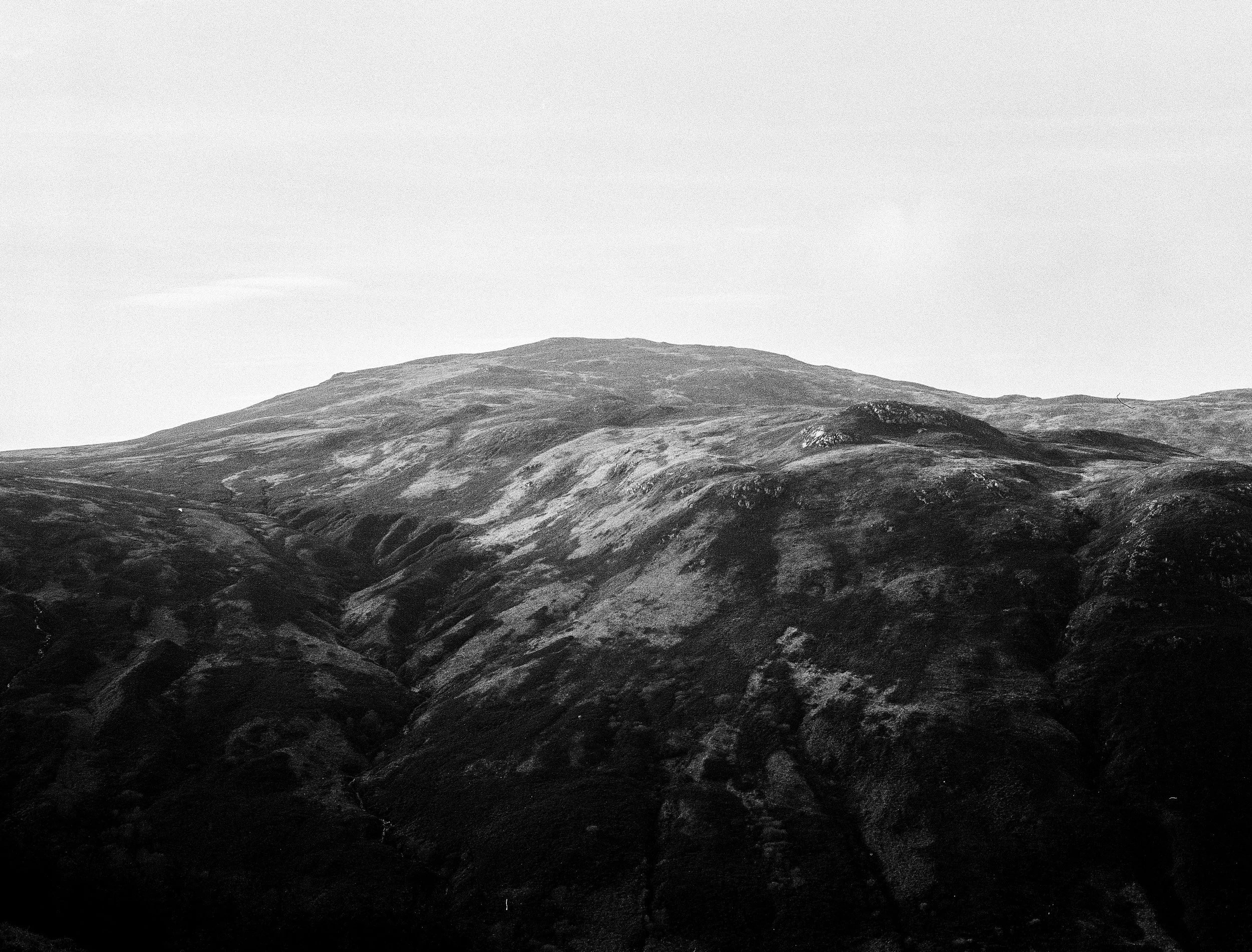 Landscape 1 crop.jpg