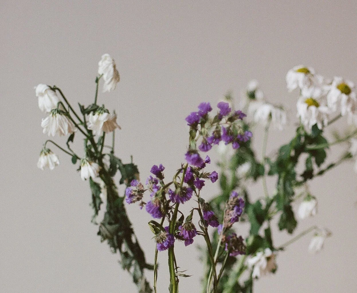 Flower Crop 2.jpg