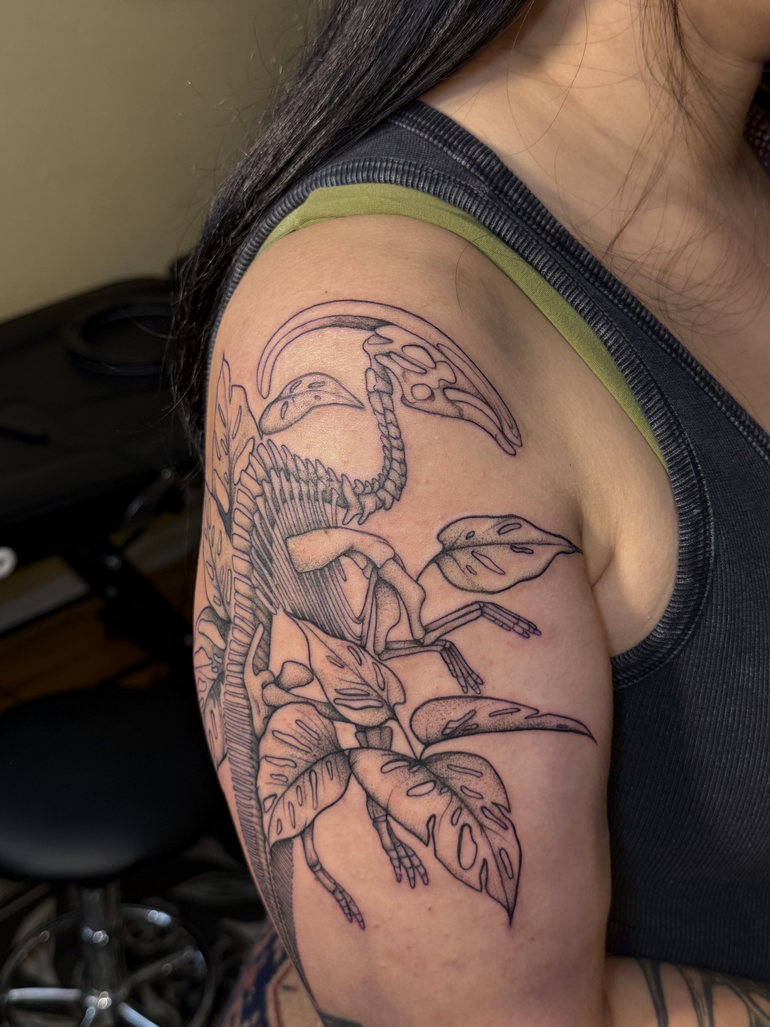 A Skeletal Parasaurolophus 