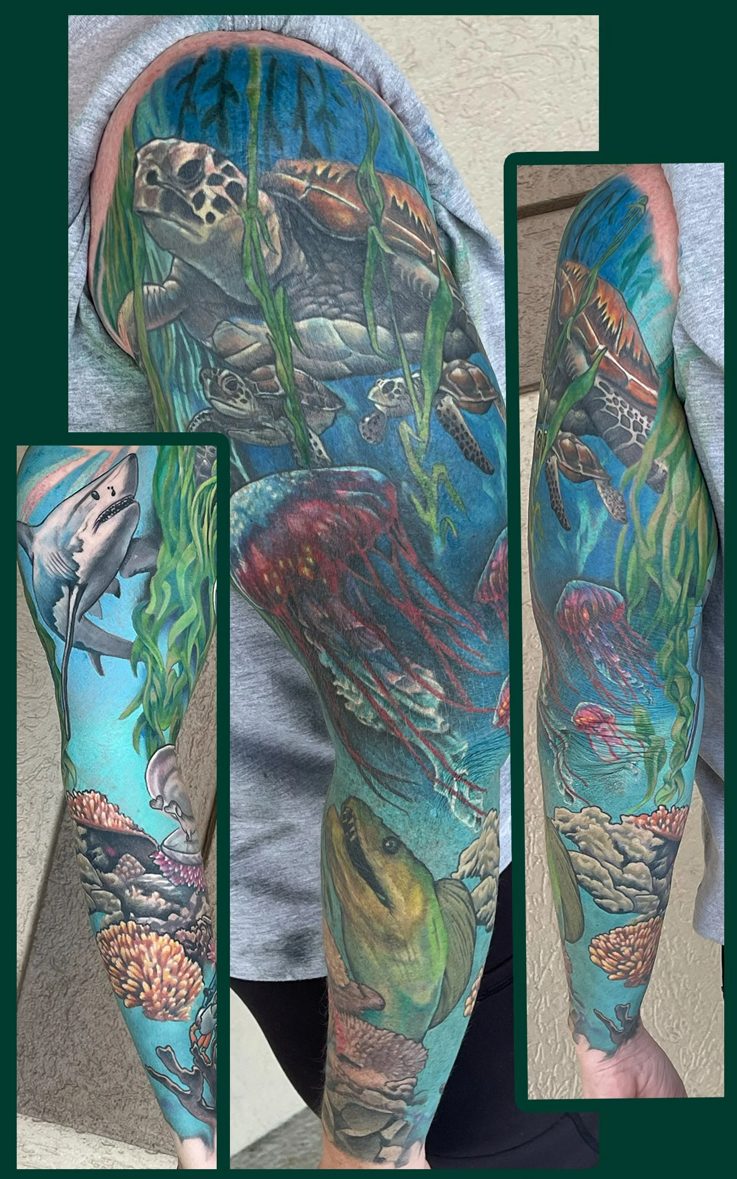 Color Tattoo Sleeve in Illustrative Realism featuring a seascape of sea turtles, a shark, urchin, eel, coral etc. 