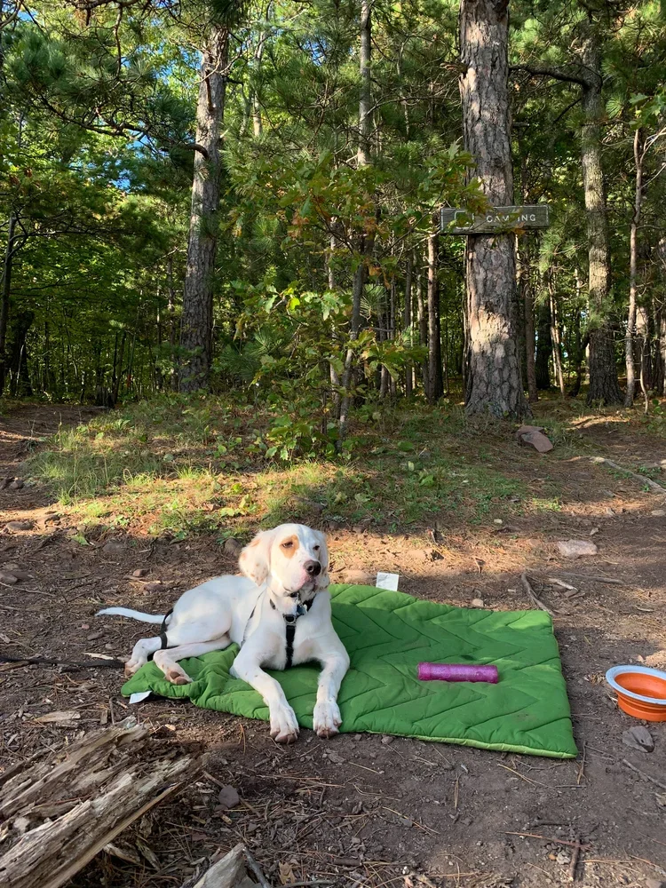 yooper staycation series -  porkies 5.webp