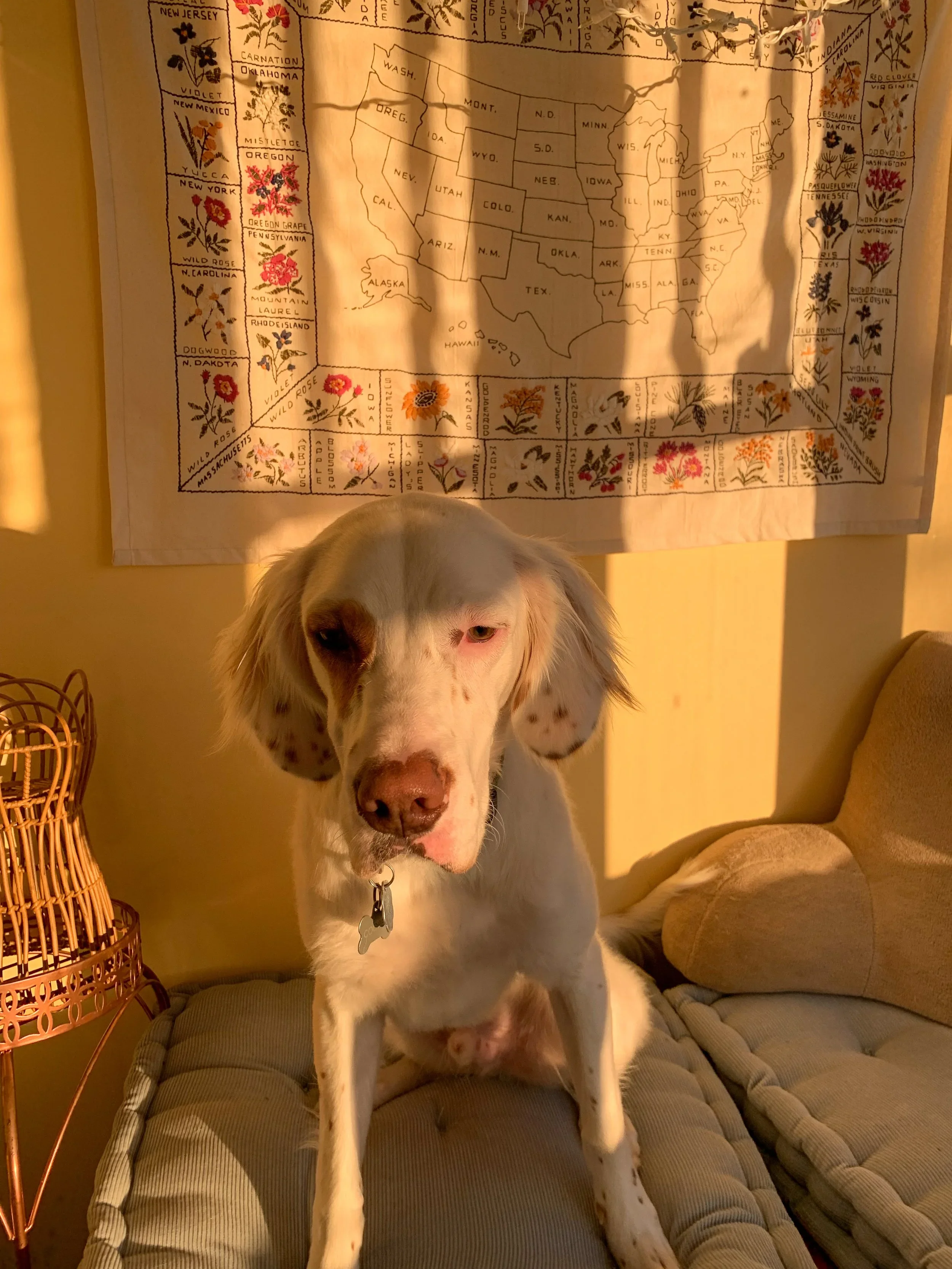 Thoughts on Sunsets | Yooper Staycation Series