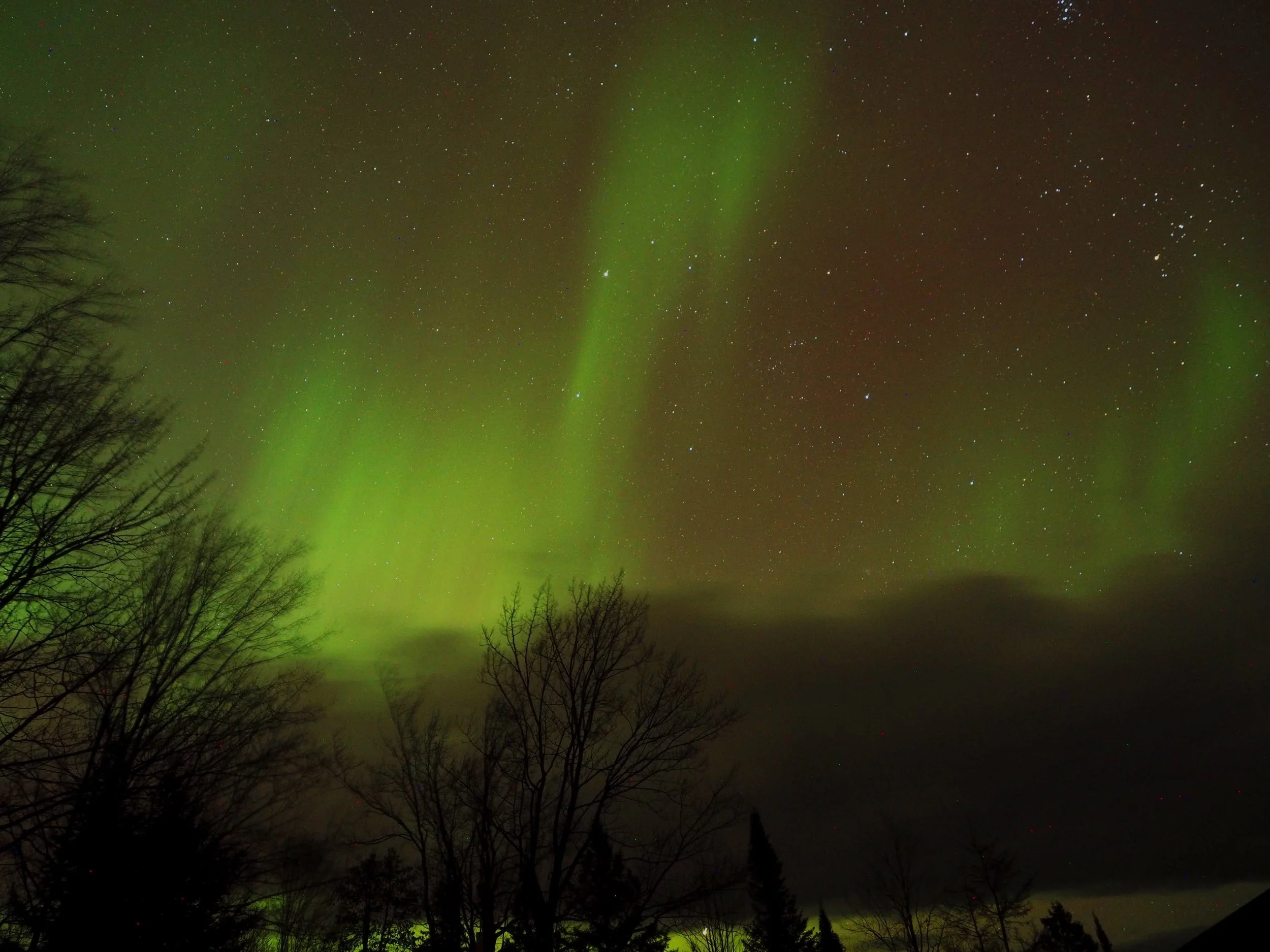 An Evening with the Aurora