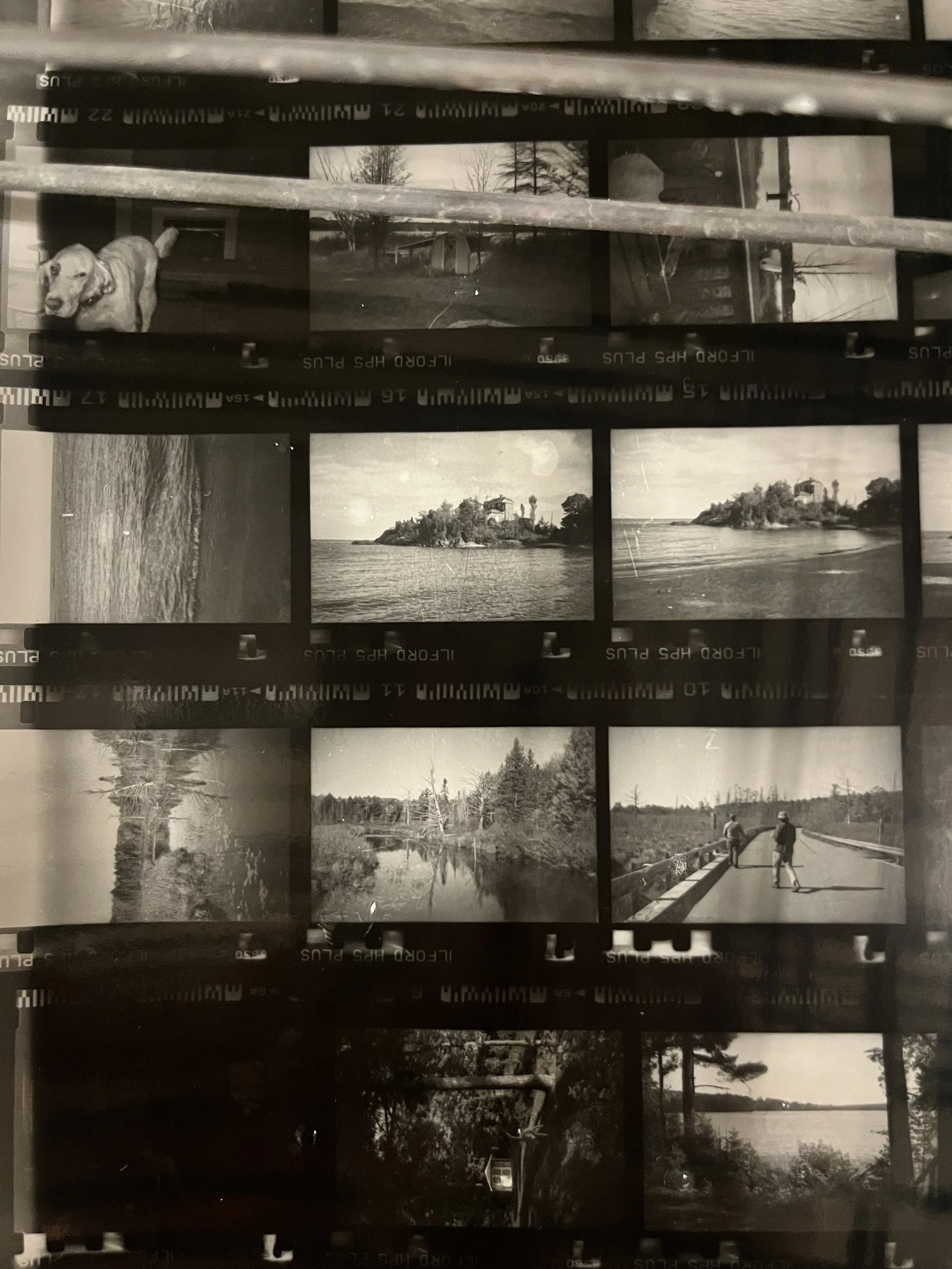 I joined another B/W film dev class