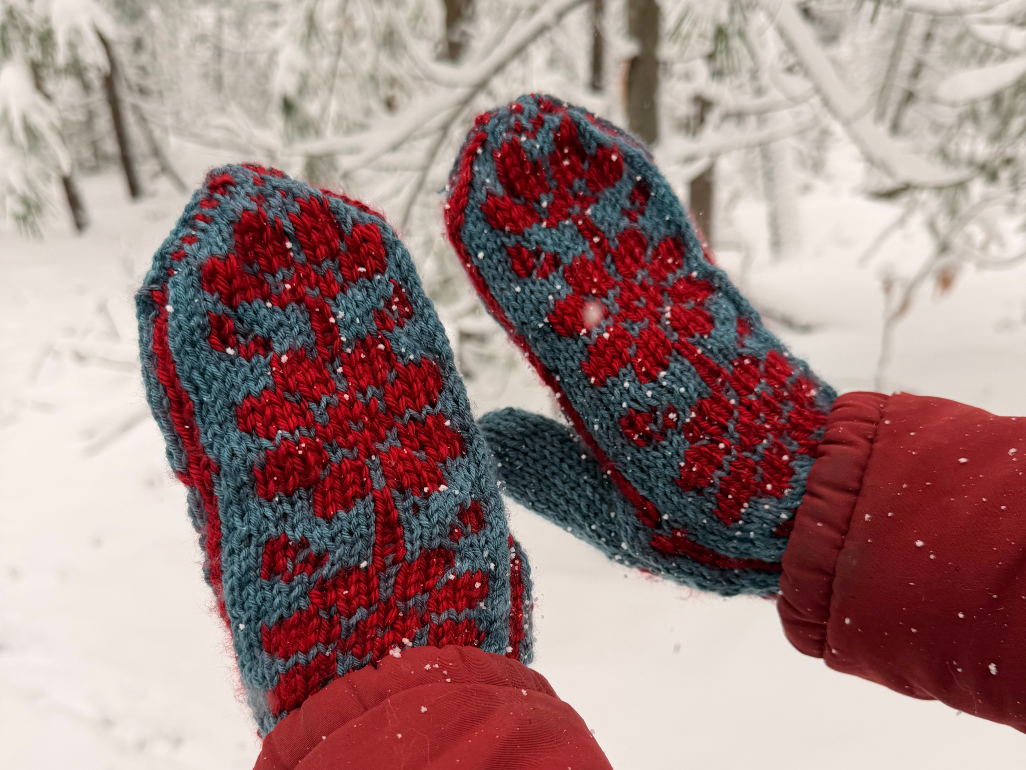 What I’ve been knitting this November