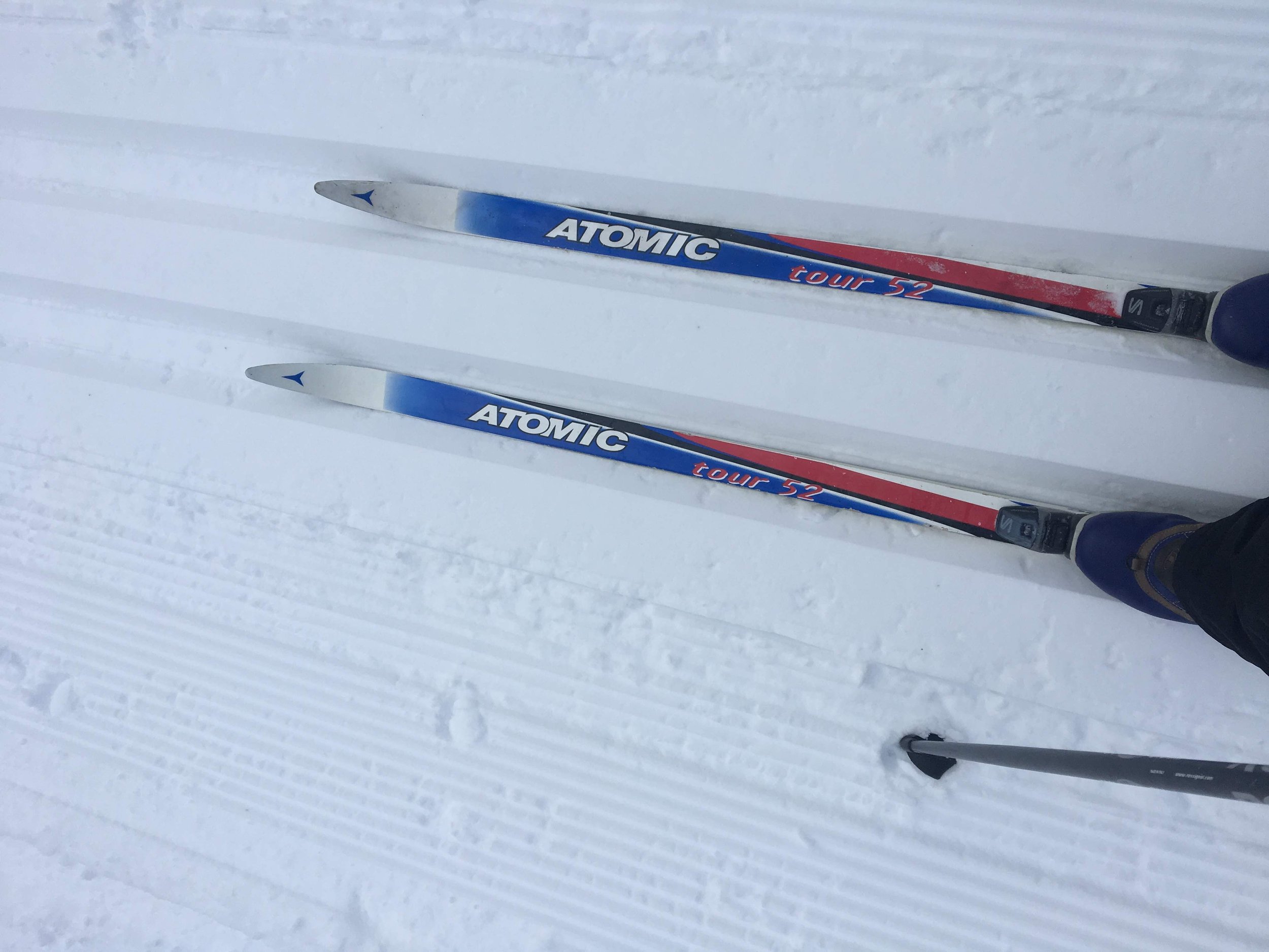 Come along to go XC skiing with my dog