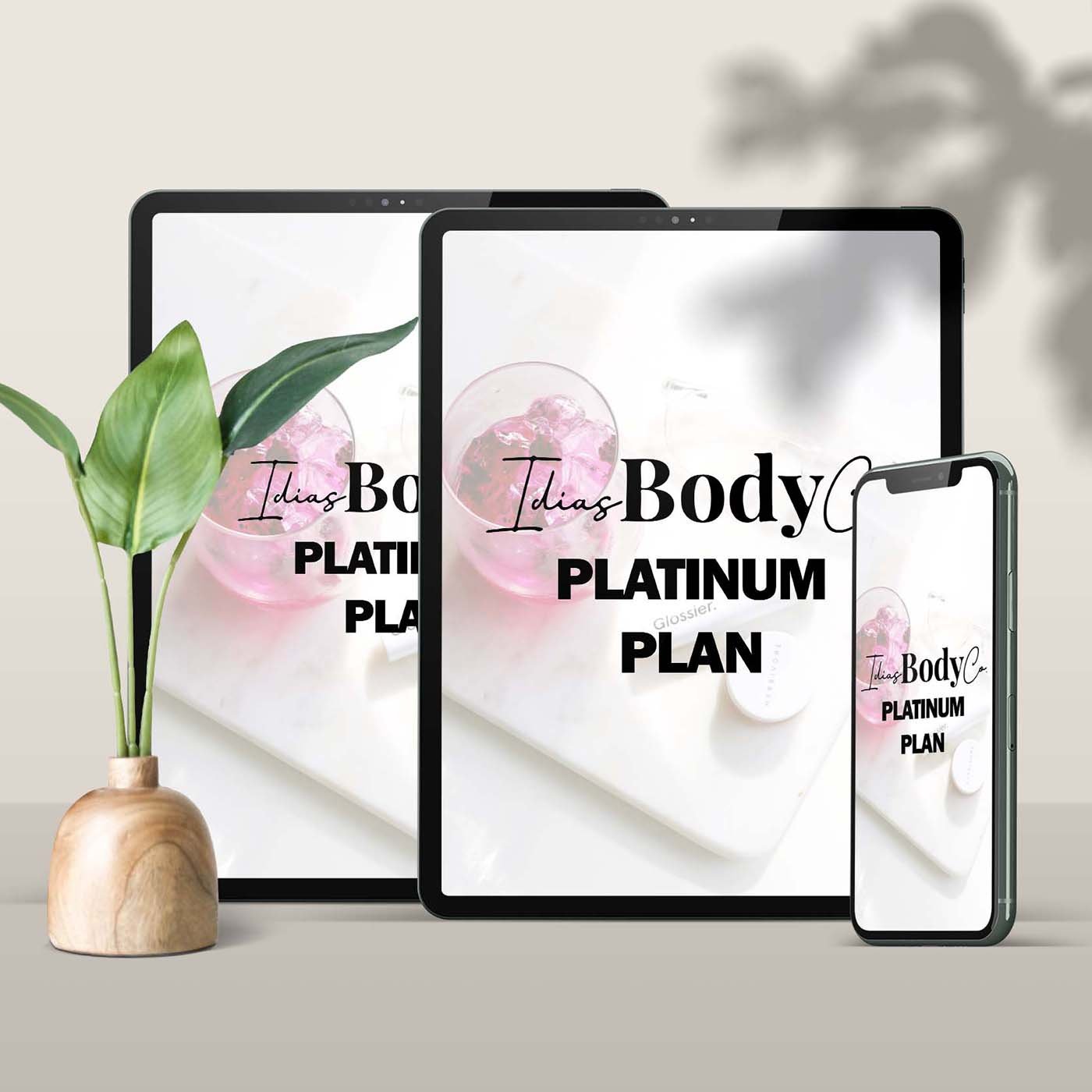 platinum-plan.jpg