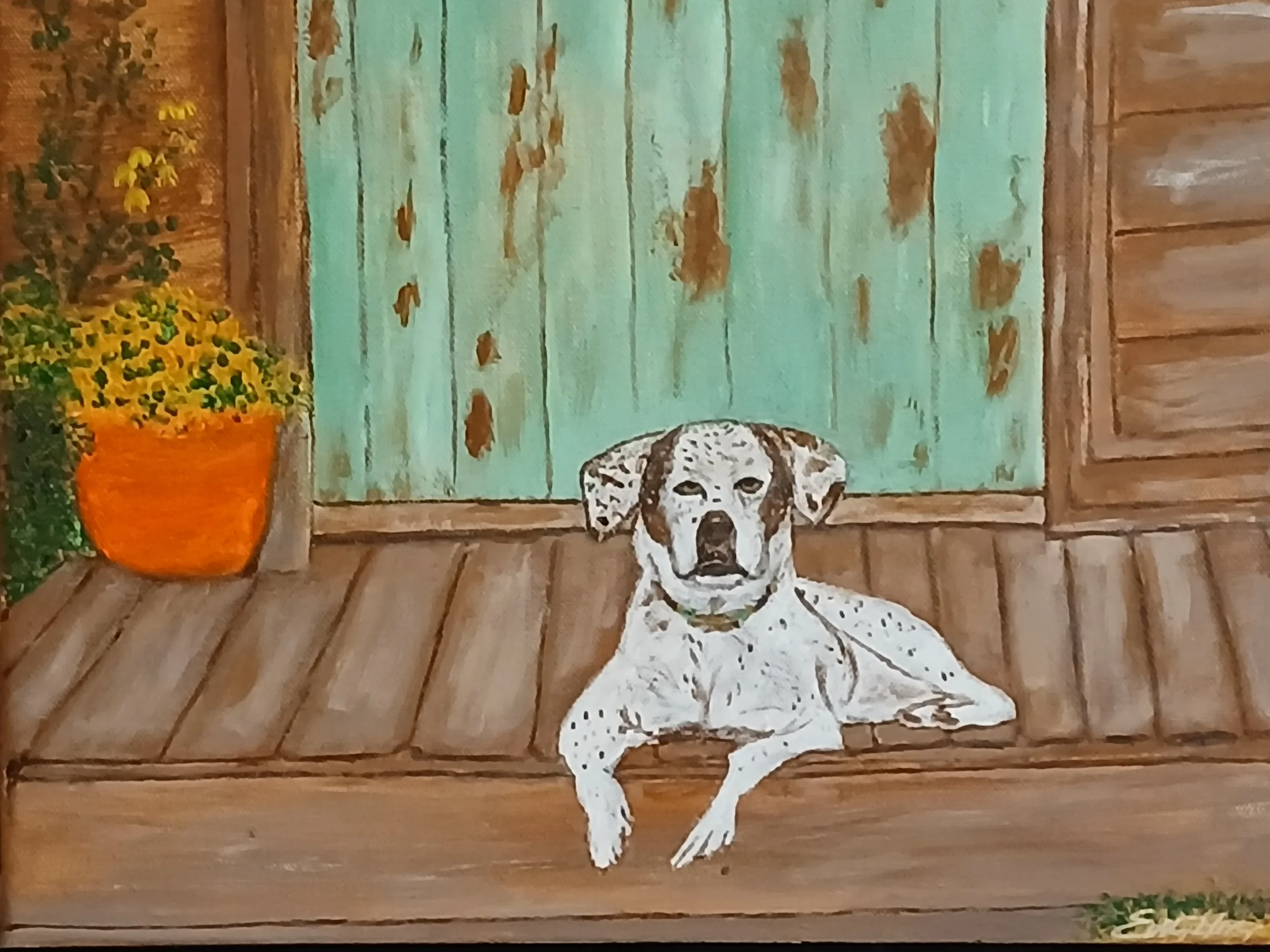 A Dalmatian dog lying on a wooden porch in front of a weathered teal door, with a potted yellow flower plant to the left.