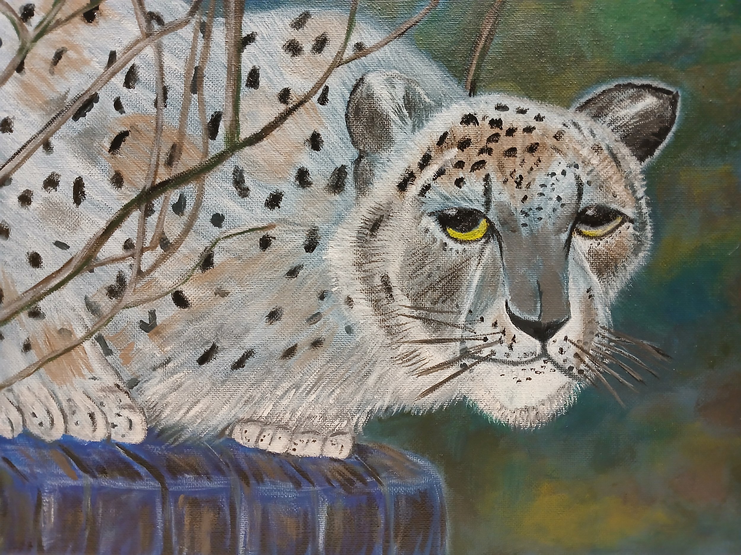 Painted depiction of a cheetah lying behind branches, with its face partially visible and looking forward.