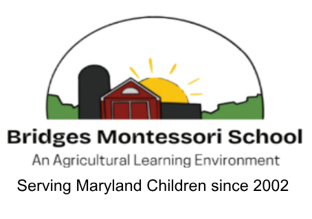 Bridges Montessori School