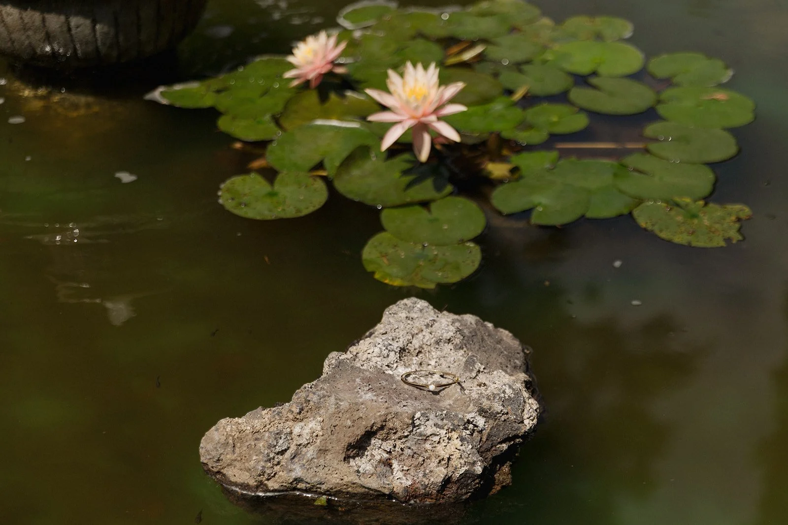 Wedding Sarah + Ryan - Tepoztlán 2025 -0305.jpg