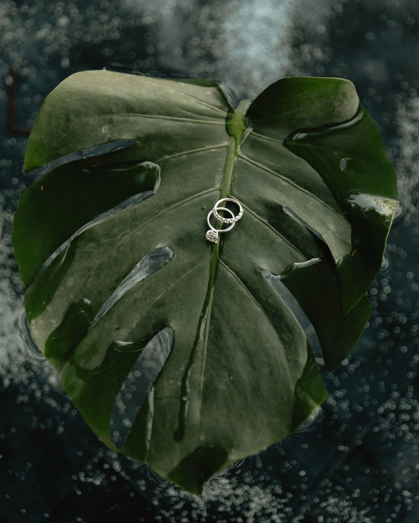 A gentle beginning to a day full of love 🏝️🌊☀️

WP @ferburr.weddings 
Venue @wpuntademita 

#puntamitaweddings #beachweddings #weddingphotographer #weddingdestinationphotographer #weddingrings