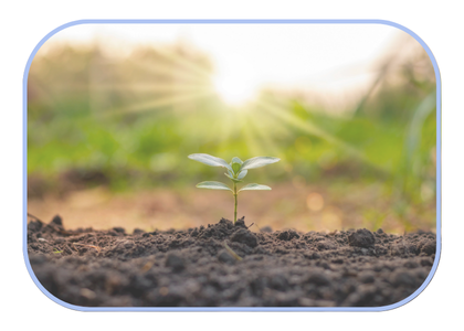 Change can feel good when... — Spring to Life Coaching