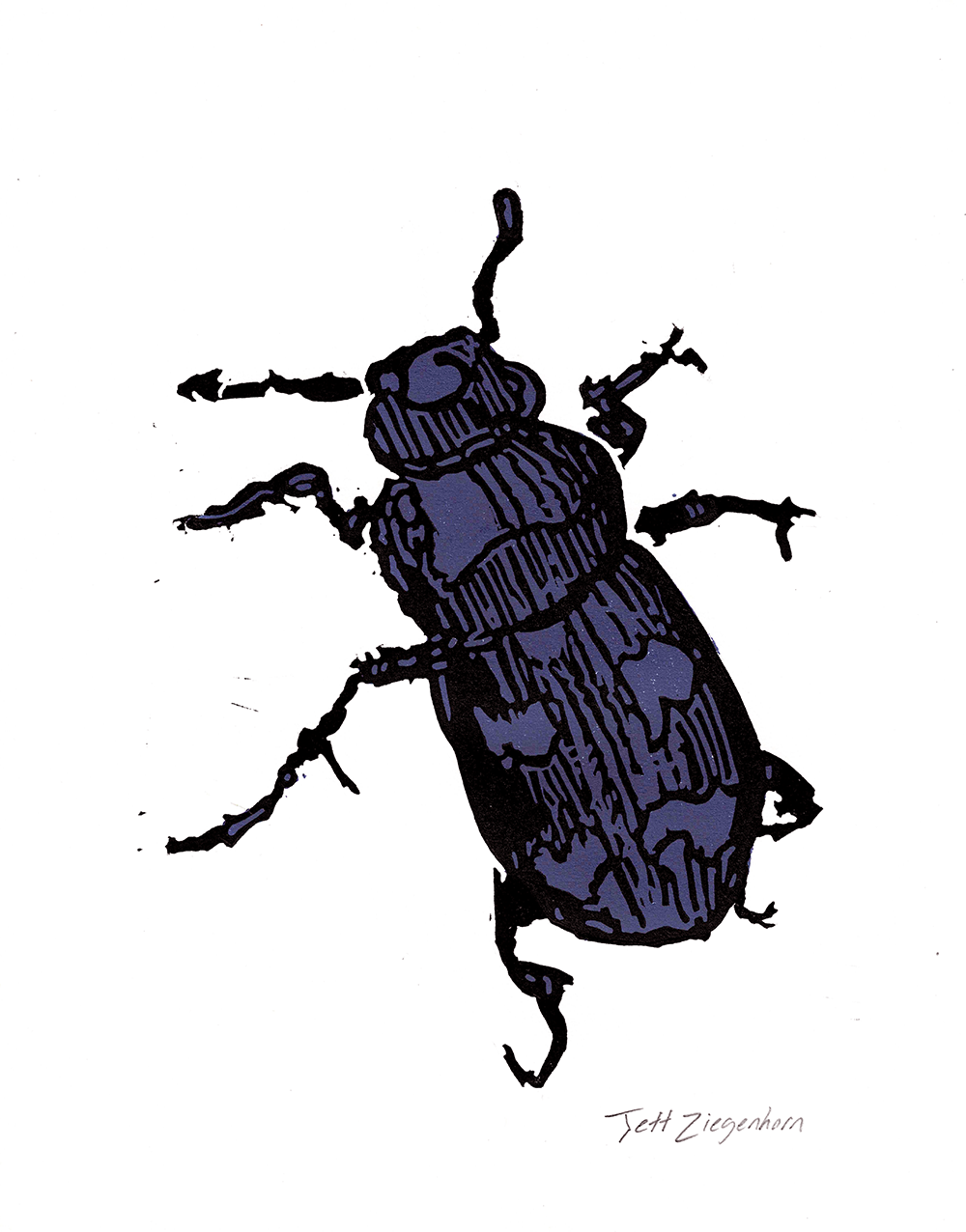 Beetle Purple.png