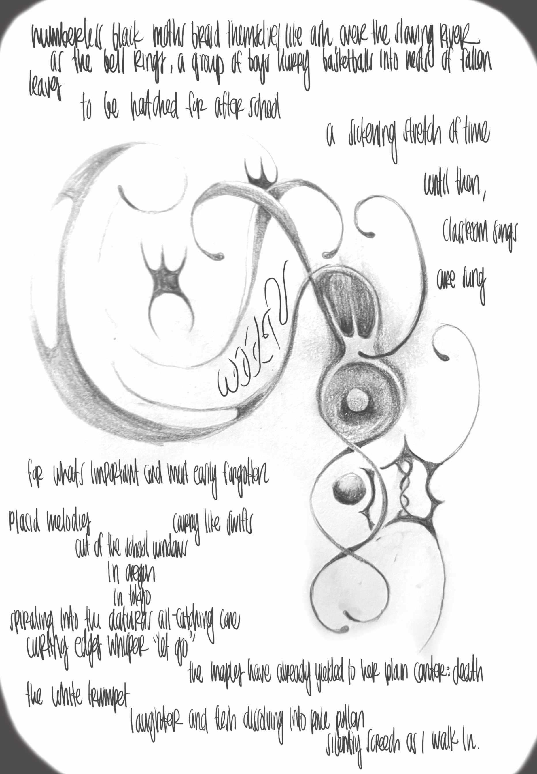 Scintillate Etere Reader copy_page-0011.jpg
