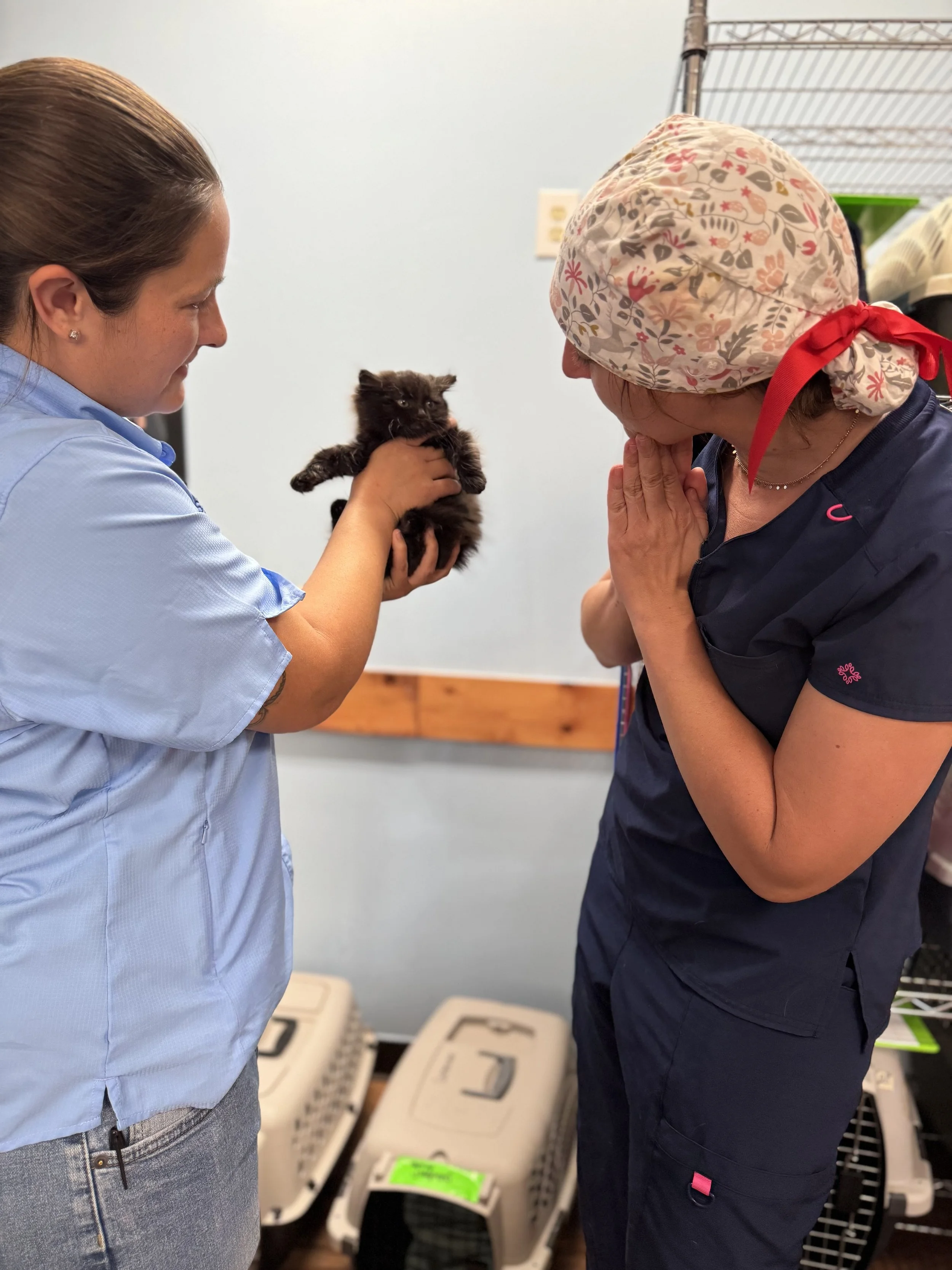 Two women, one dressed in a light blue shirt, holding a small black kitten, and the other is a veterinarian named Dr. Hurst  wearing a dark blue scrubs top and a floral bandana, bowing with hands clasped together in front of her face.