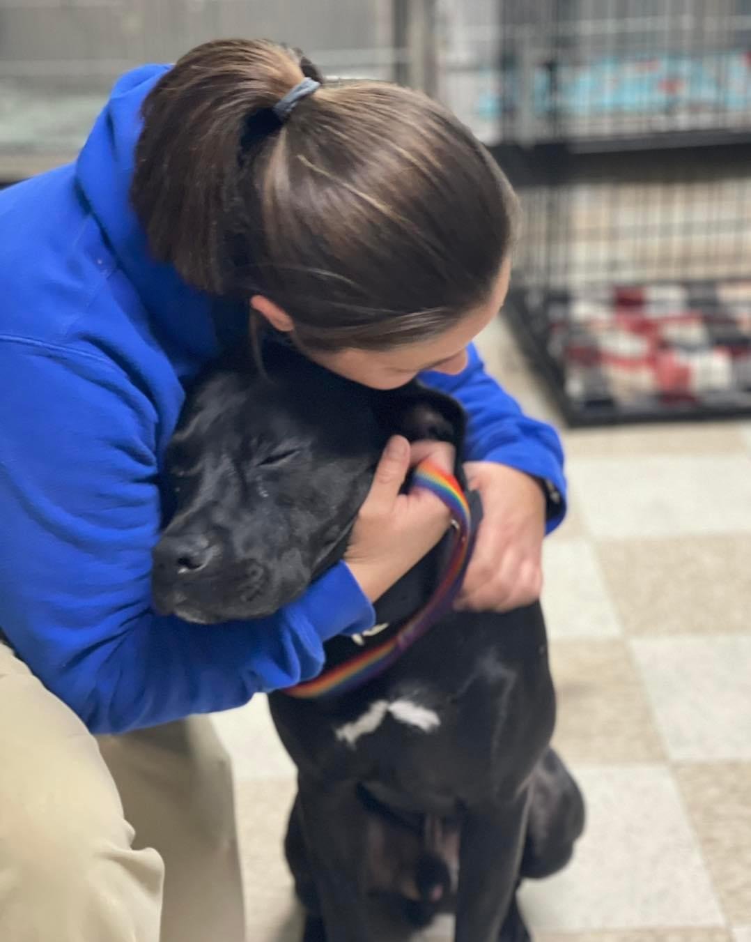 A woman wearing a blue jacket hugging a black dog with a rainbow-colored collar inside a vet clinic at Spay Arkansas.