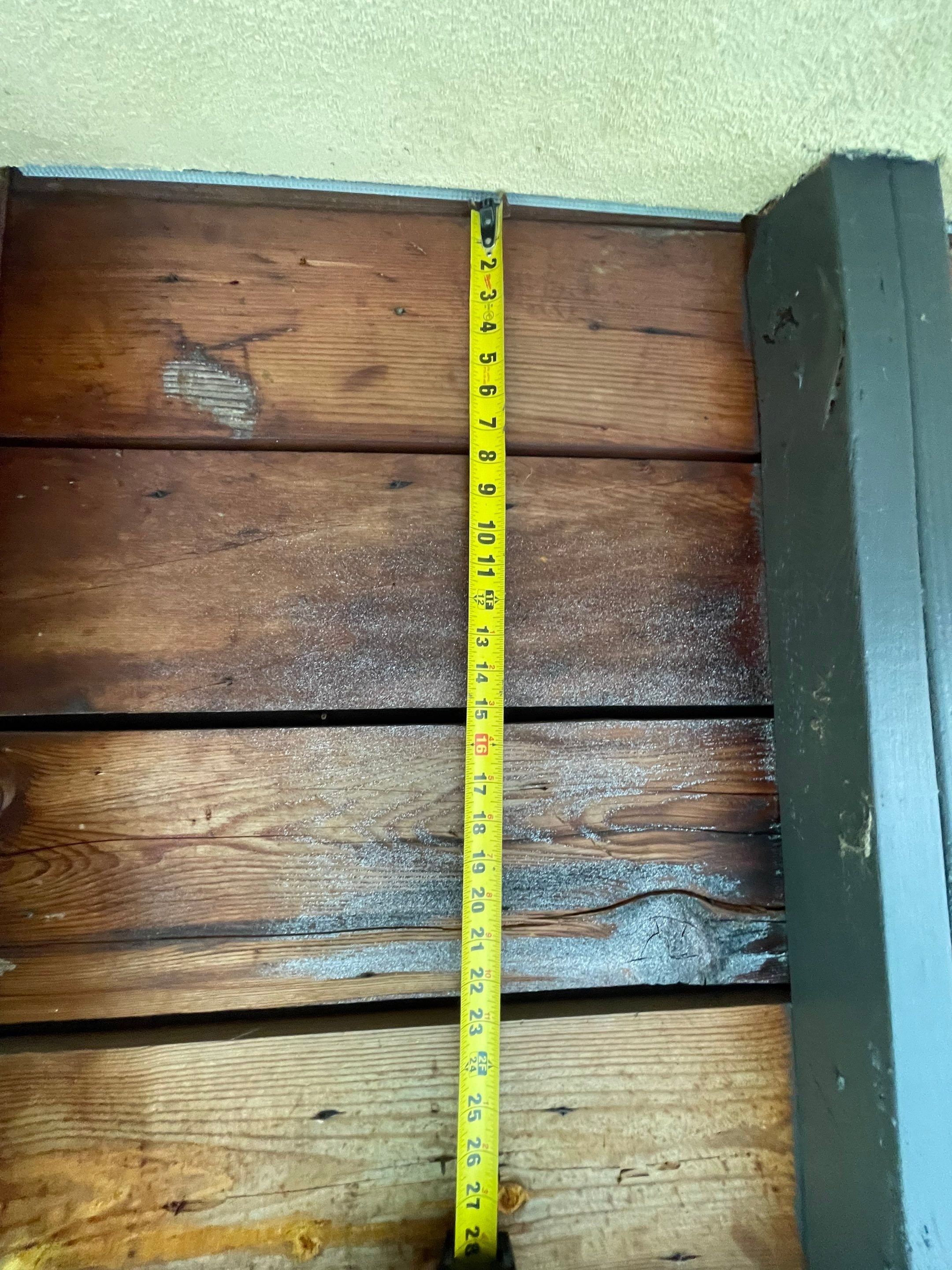 Mori's under hang:wing .jpg