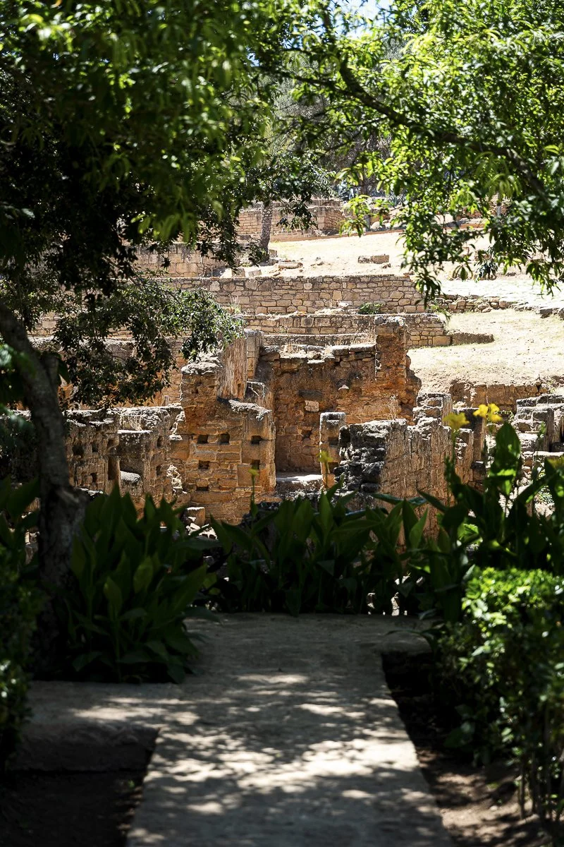 garden.jpg