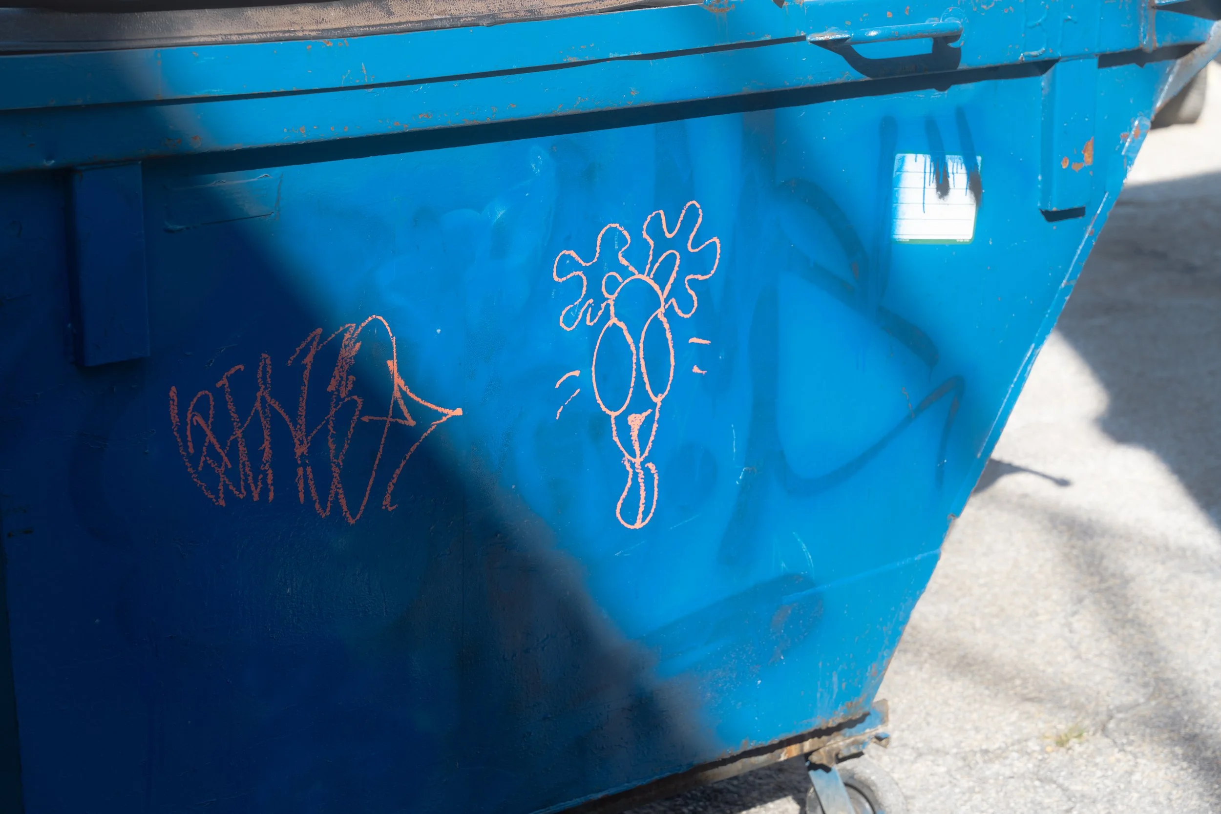 DSC08577.jpg