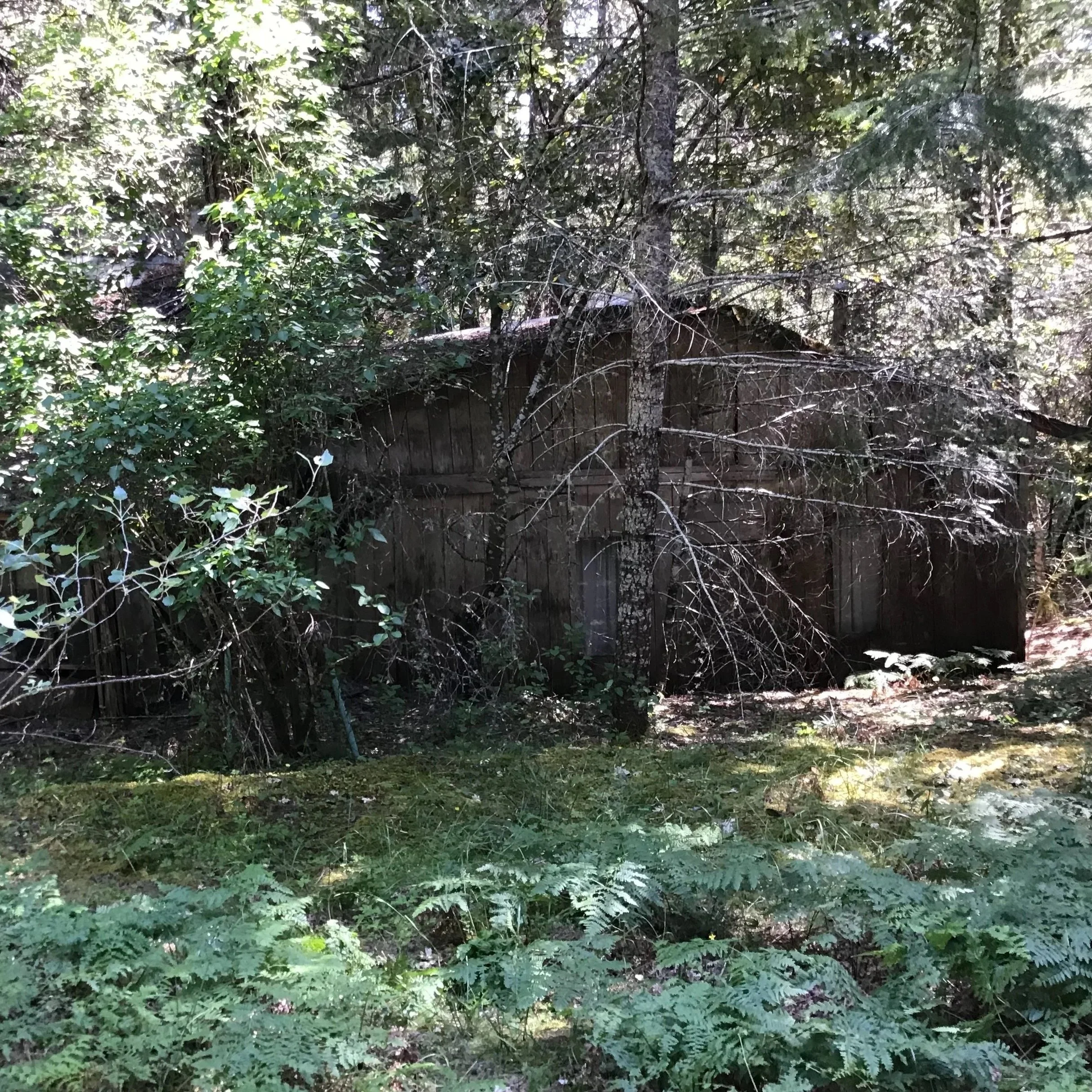 Abandoned home in Oregon wilderness