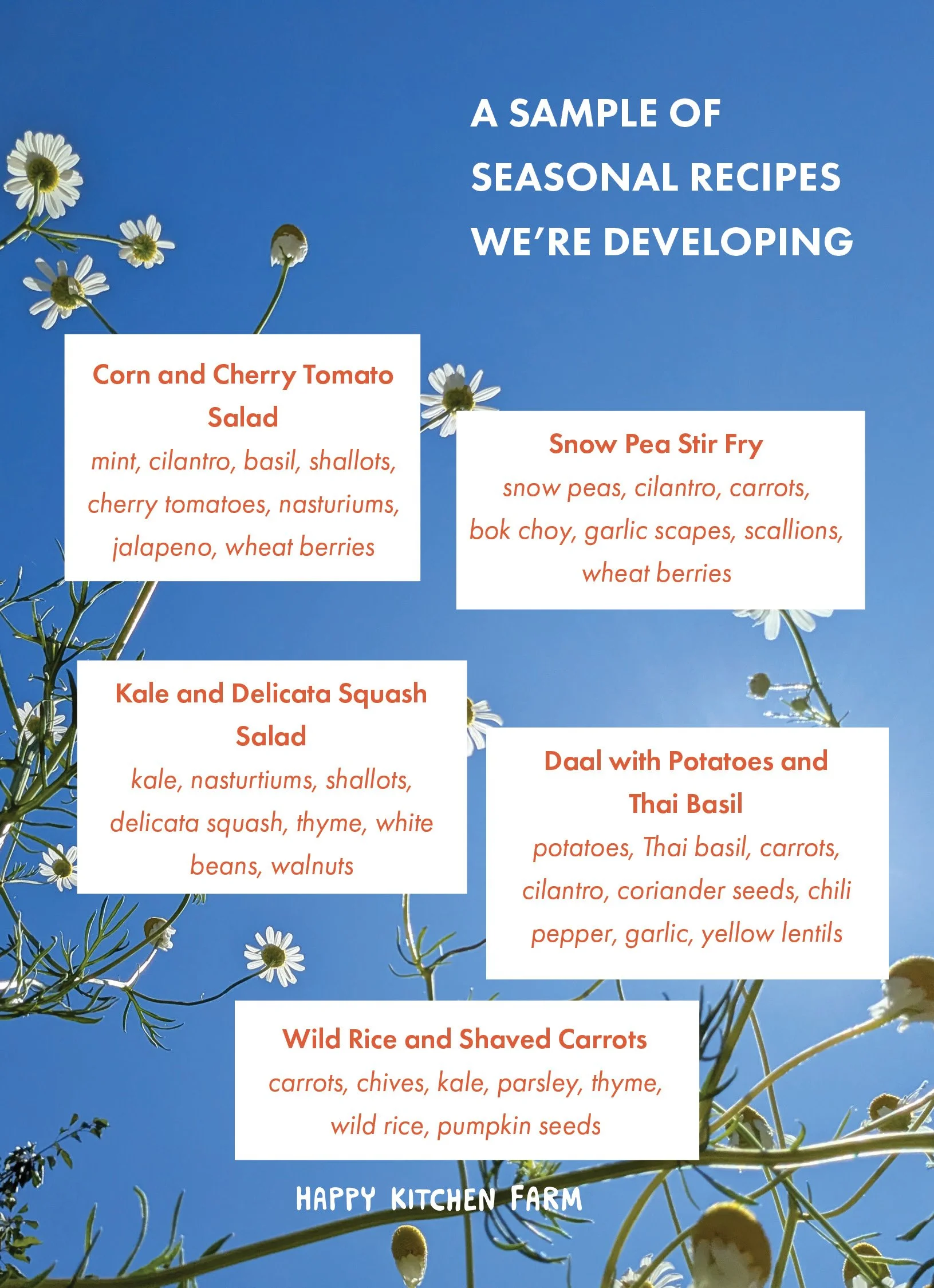 00 HKF Meal Kit Promo5.jpg