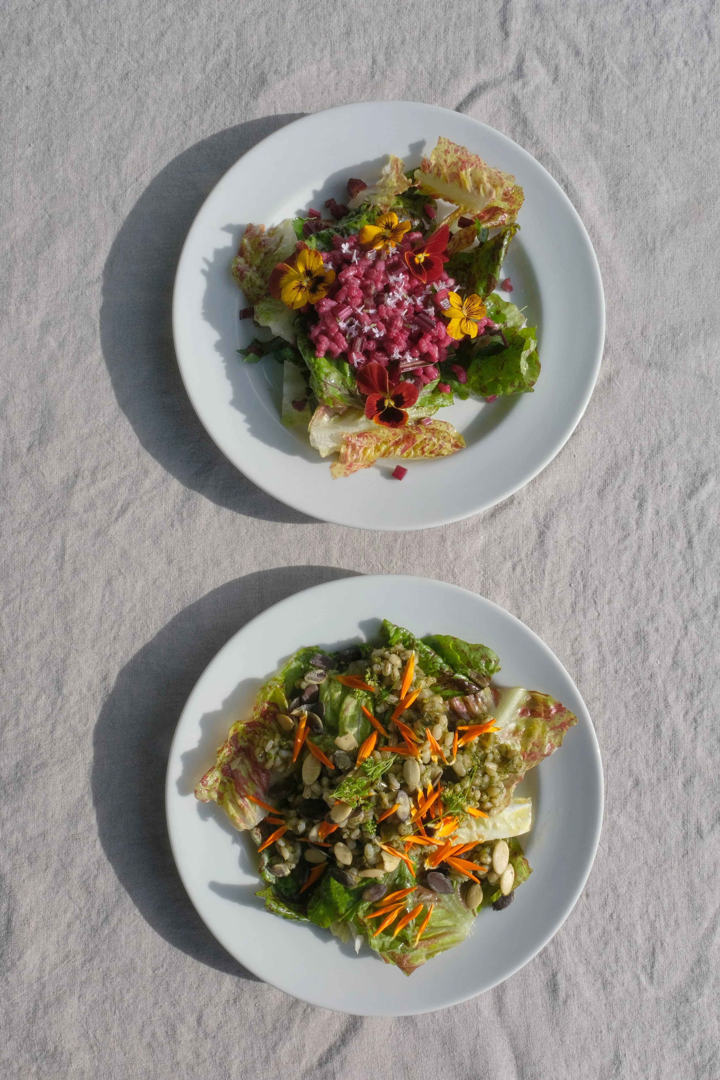 Cranberry Beet or Cilantro Scallion Pearled Barley