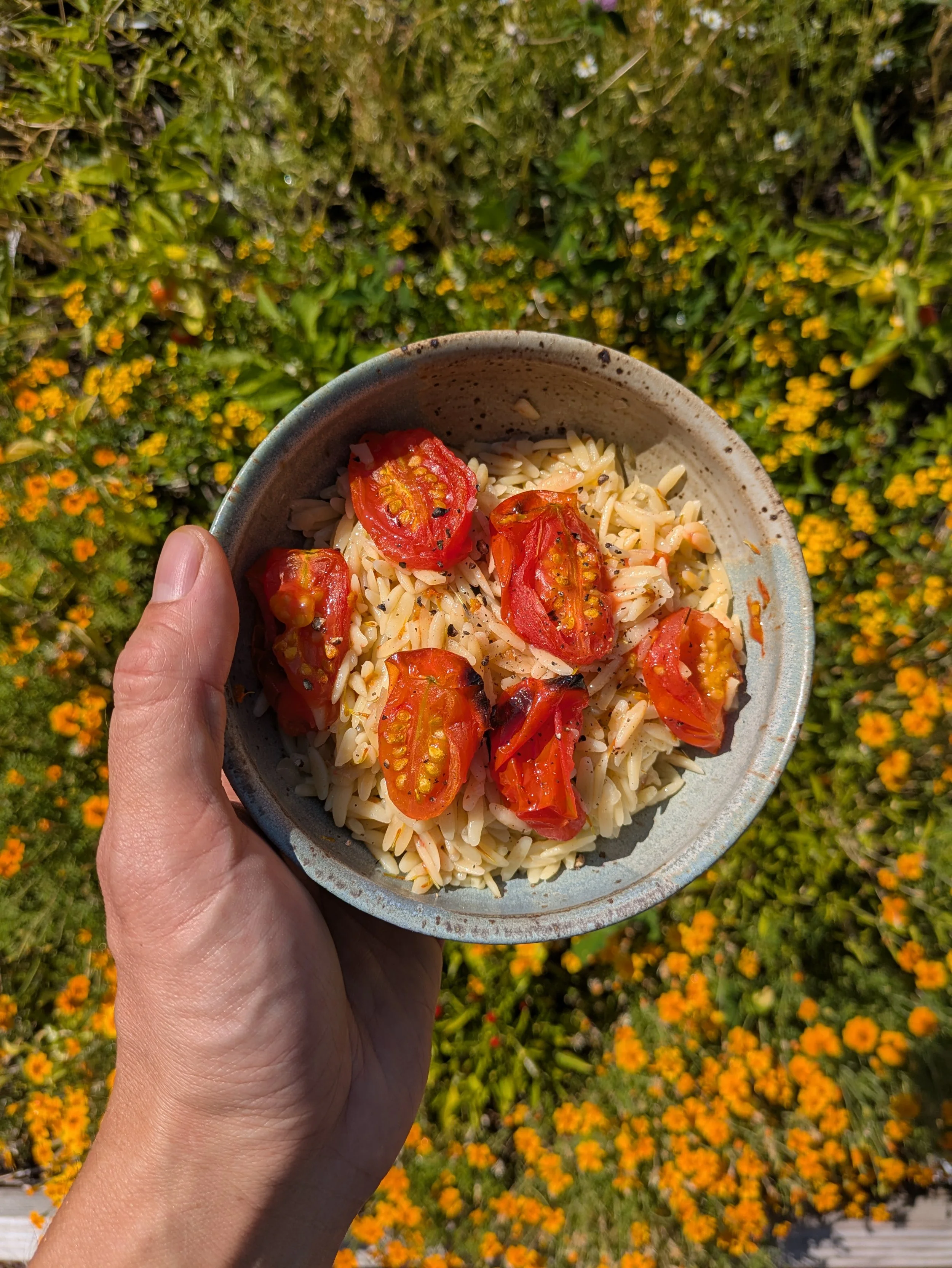 Marigold Orzo with Roasted Tomatoes