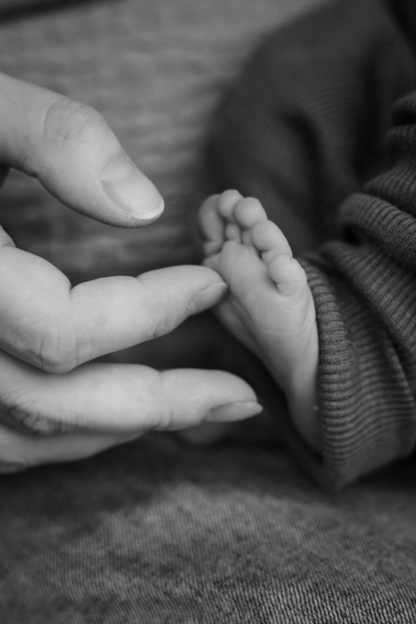 014_2026-02-11_Newborn(C)lunah-photo_136A0622.jpg