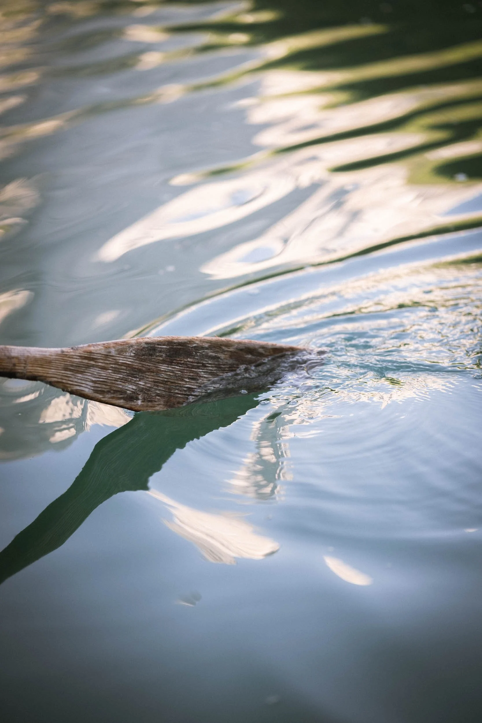 Nahaufnahme eines Holzstücks, das im Wasser schwimmt, mit Wasserreflexionen und sanften Wellen