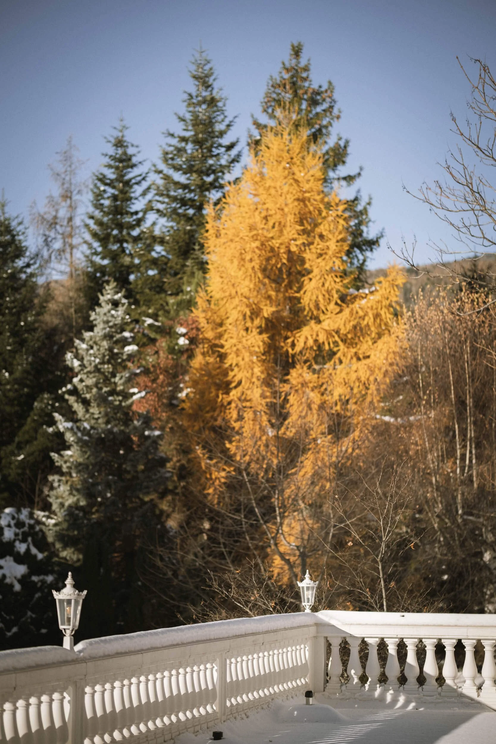 Blick auf verschneiten Balkon mit weißen Geländer und Laternen, im Hintergrund bunter Herbstbaum und Tannen im Winter.