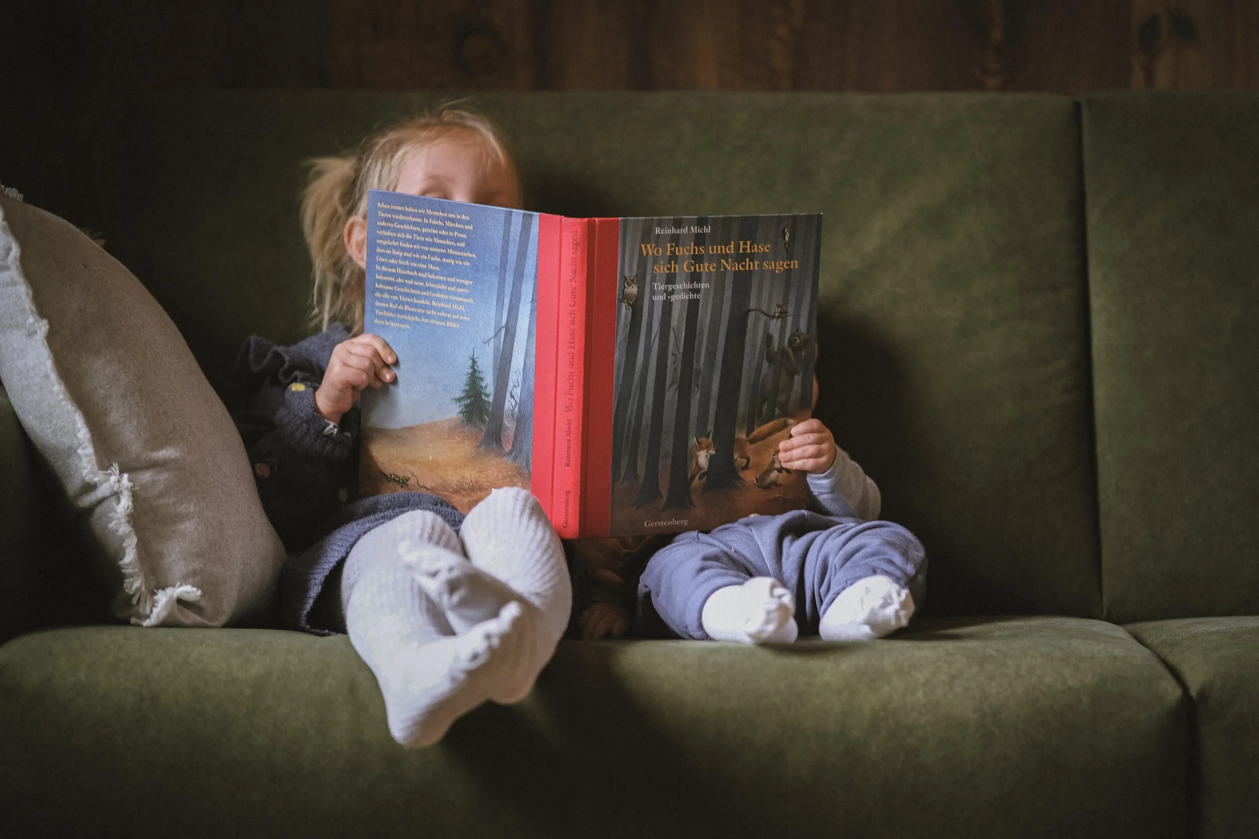 Zwei Kinder sitzen auf einem grünen Sofa, lesen ein Buch mit dem Titel 'Wo Fuchs und Hase sich Gute Nacht sagen', das Bilder von Tieren im Wald zeigt.