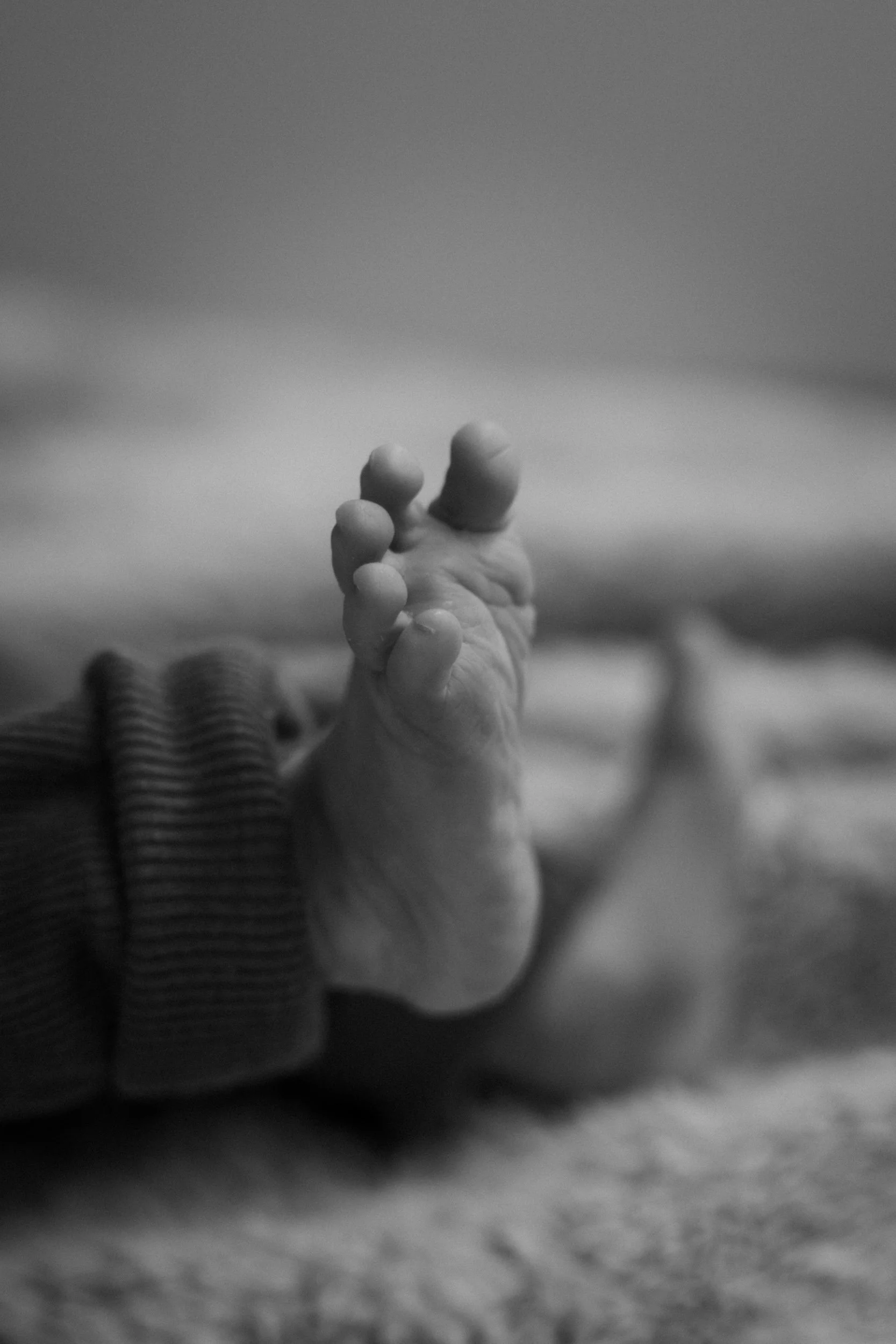 003_2026-02-11_Newborn(C)lunah-photo_136A0546.jpg