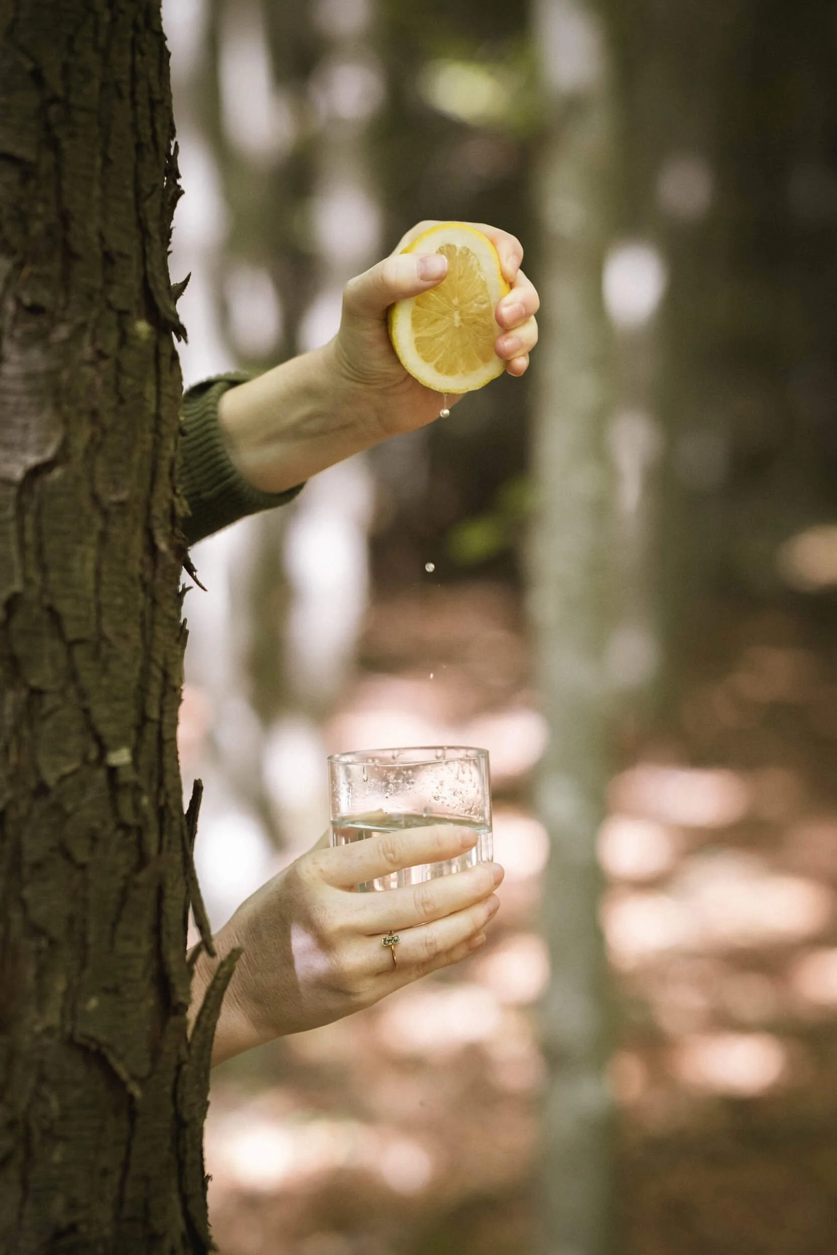 Eine Hand hält eine Zitronenscheibe über ein Glas mit Wasser. Die Szene spielt in einem Wald.