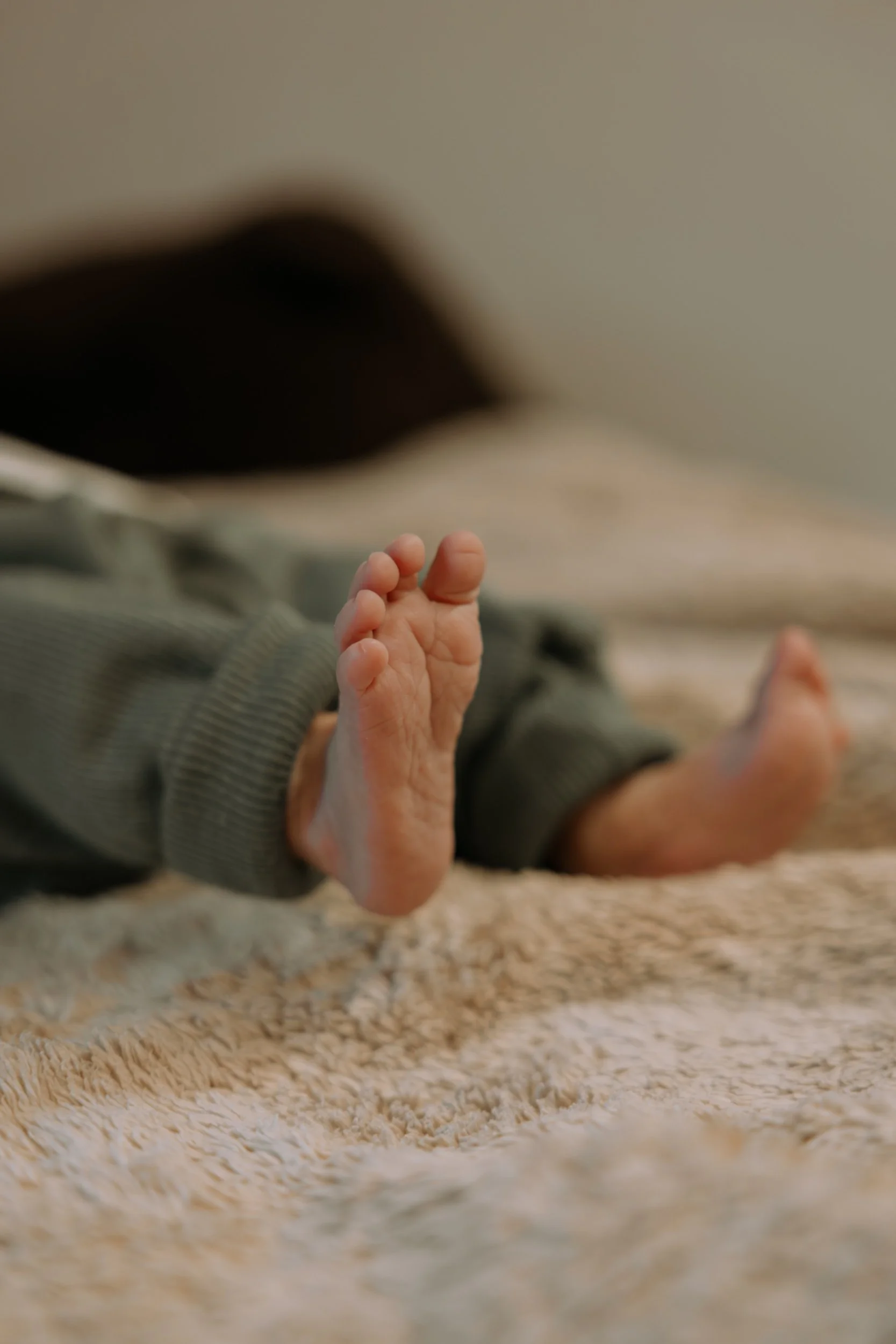 004_2026-02-11_Newborn(C)lunah-photo_136A0549.jpg