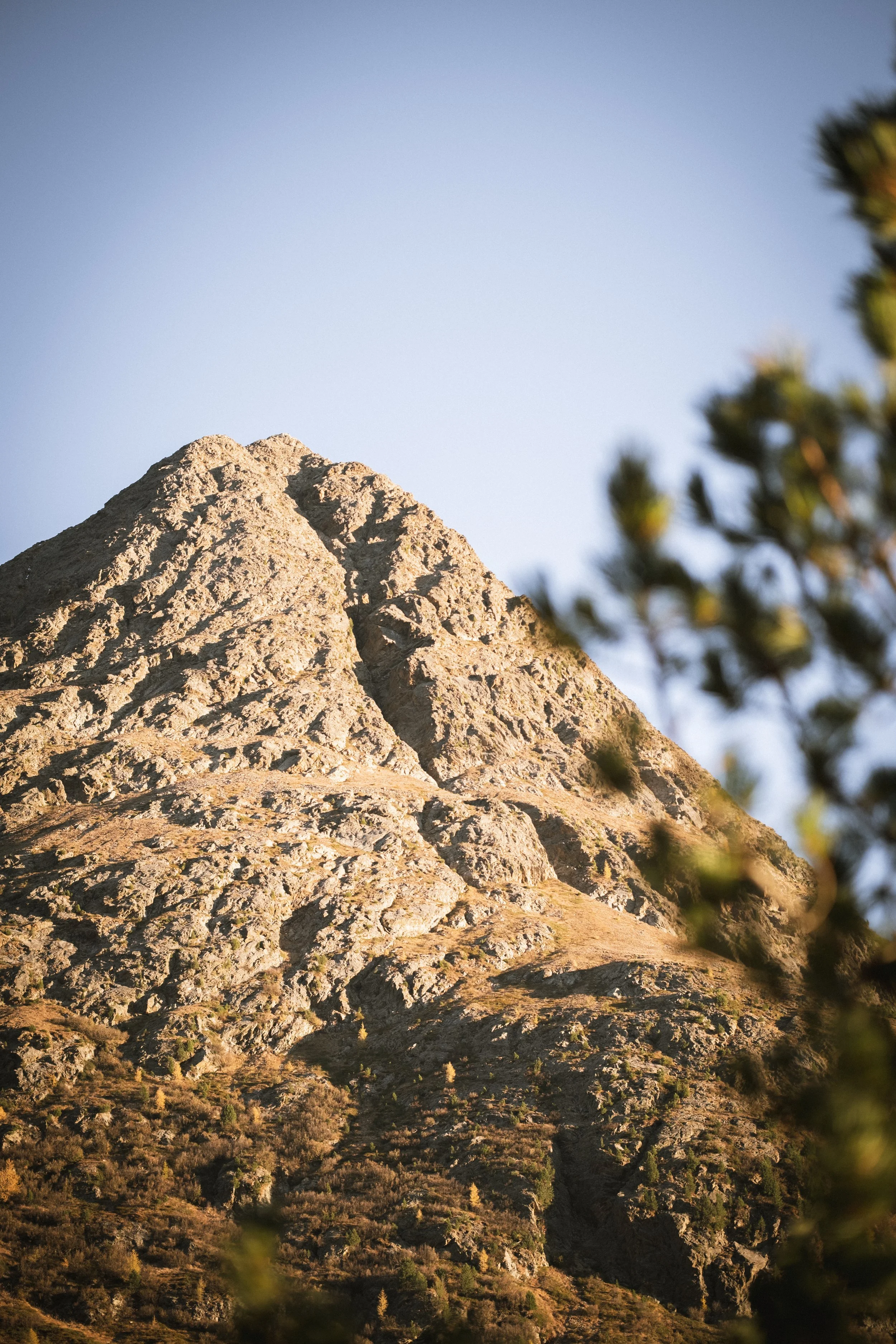 Berg mit felsiger Oberfläche und umgebender Vegetation, durch Bäume teilweise verdeckt, bei Sonnenlicht