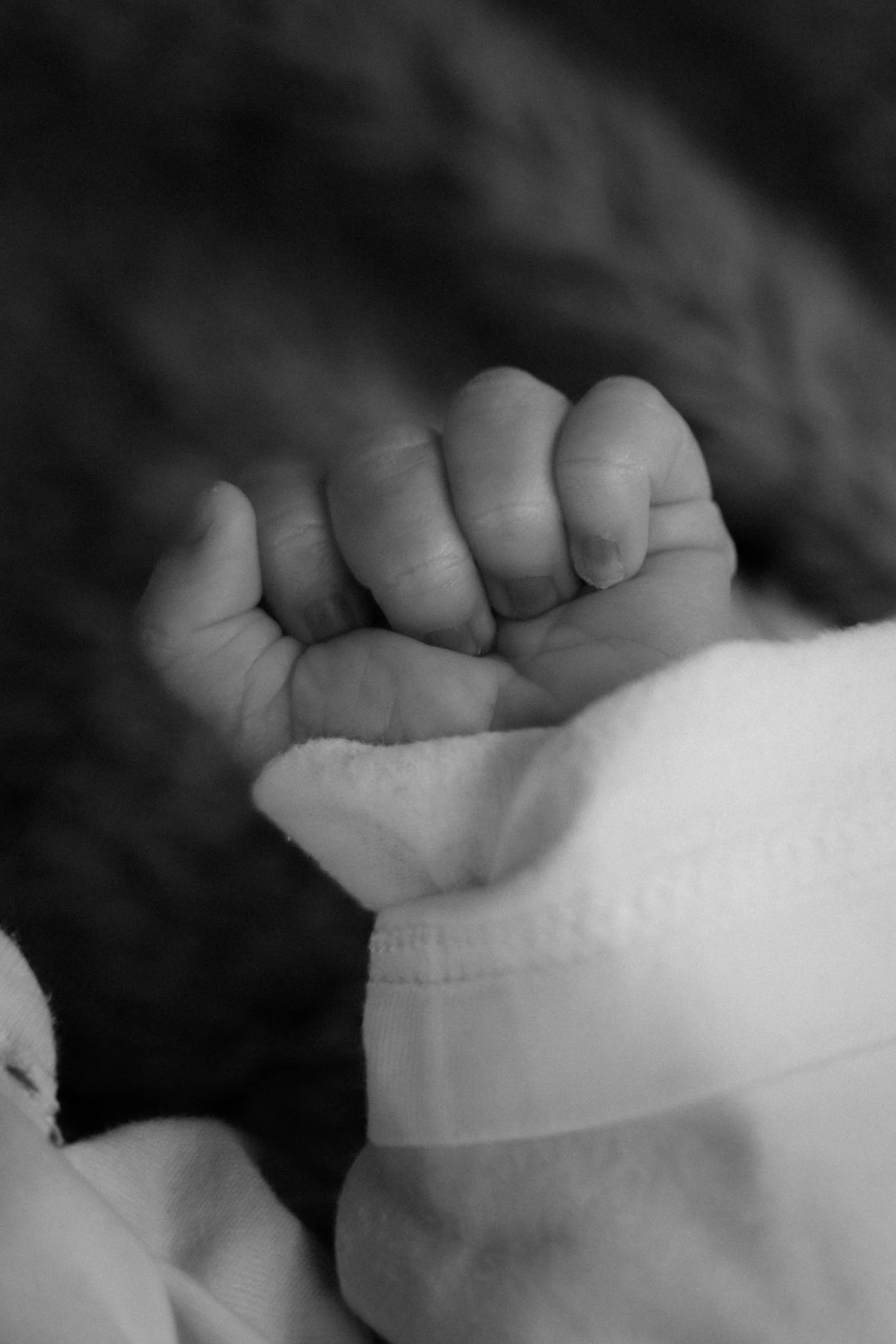 002_2026-02-11_Newborn(C)lunah-photo_136A0543.jpg