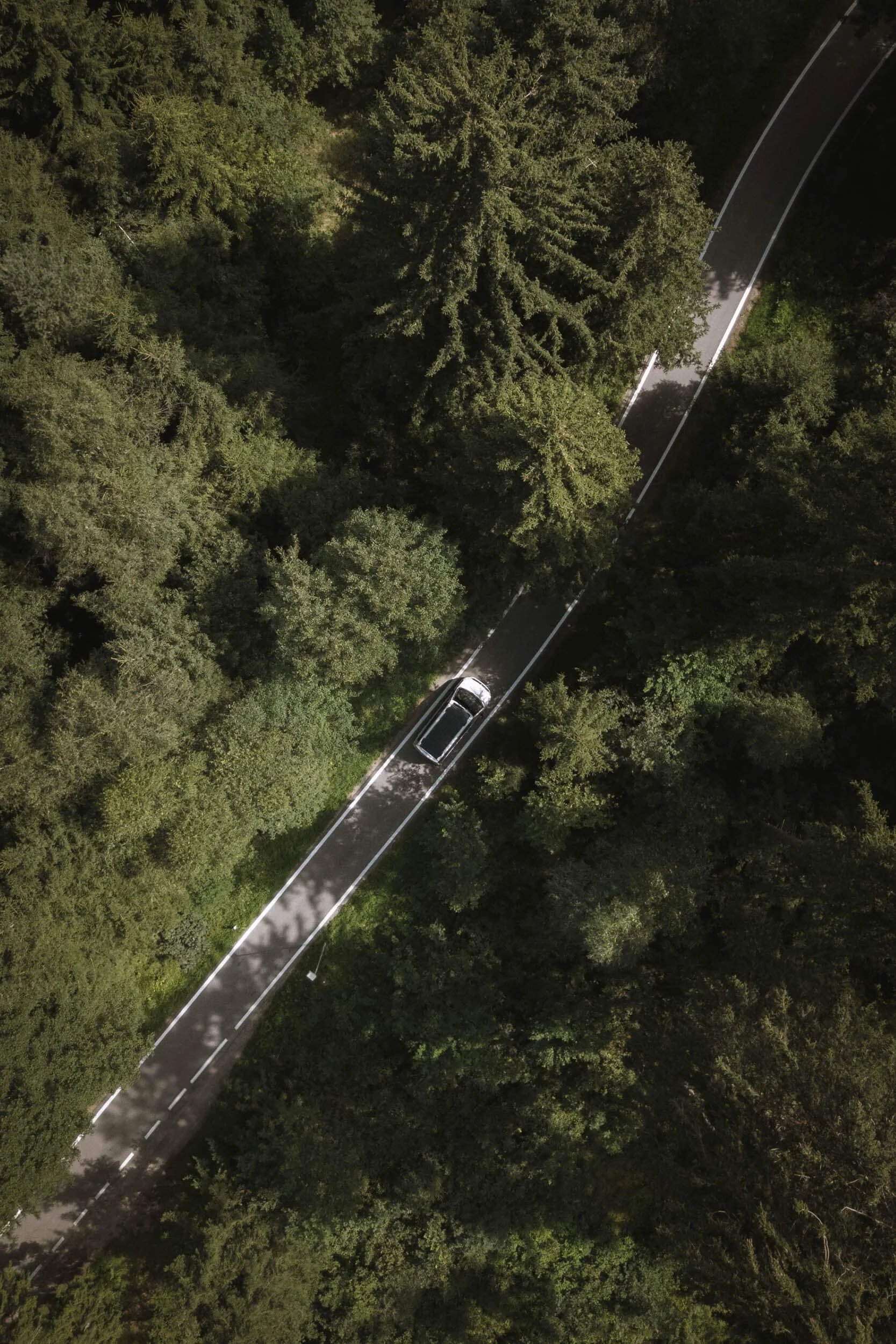 Vogelperspektive auf eine Straße durch einen dichten grünen Wald, mit einem schwarzen Auto, das die Straße entlangfährt.