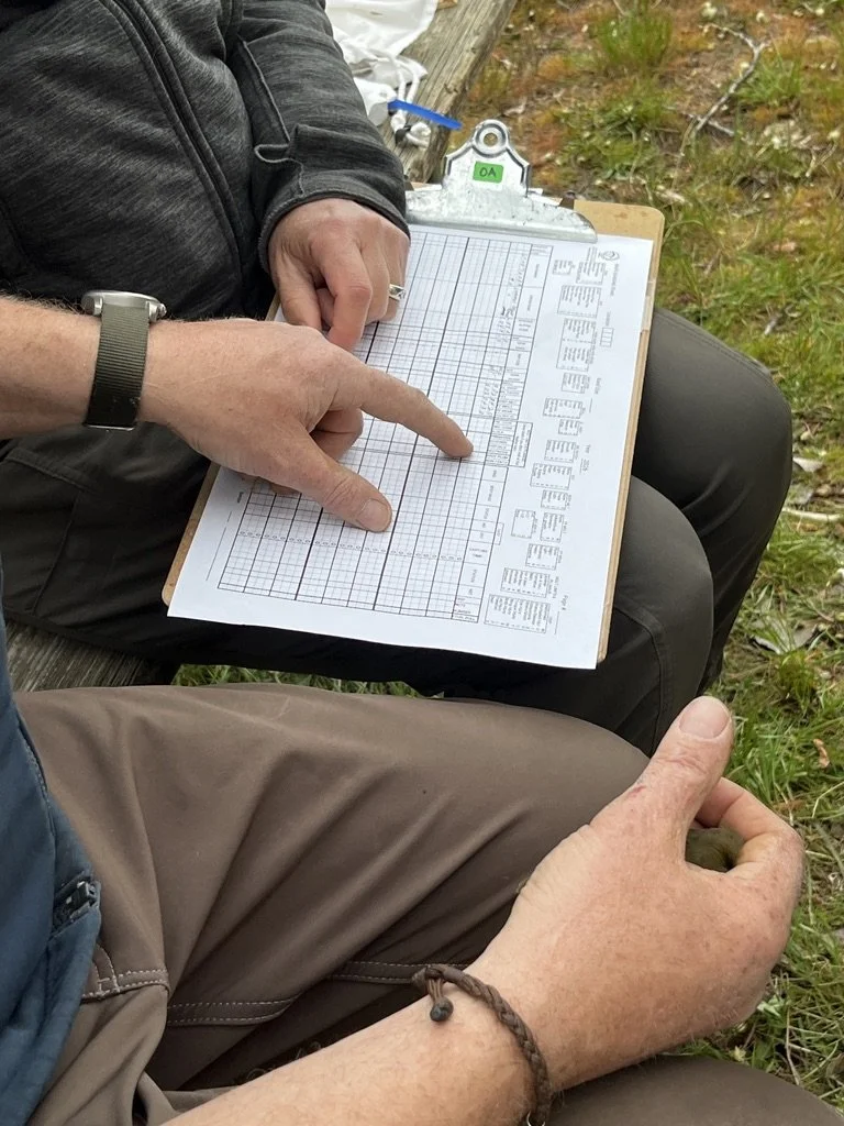 2026-5-MoorcroftBirdbanding24-PIC-ByNancySmall.jpg