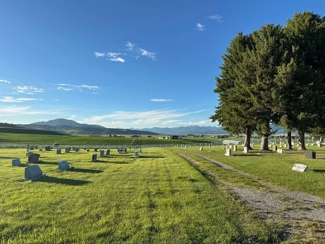 A serene cemetery bordered by trees and grass, located alongside a quiet road.