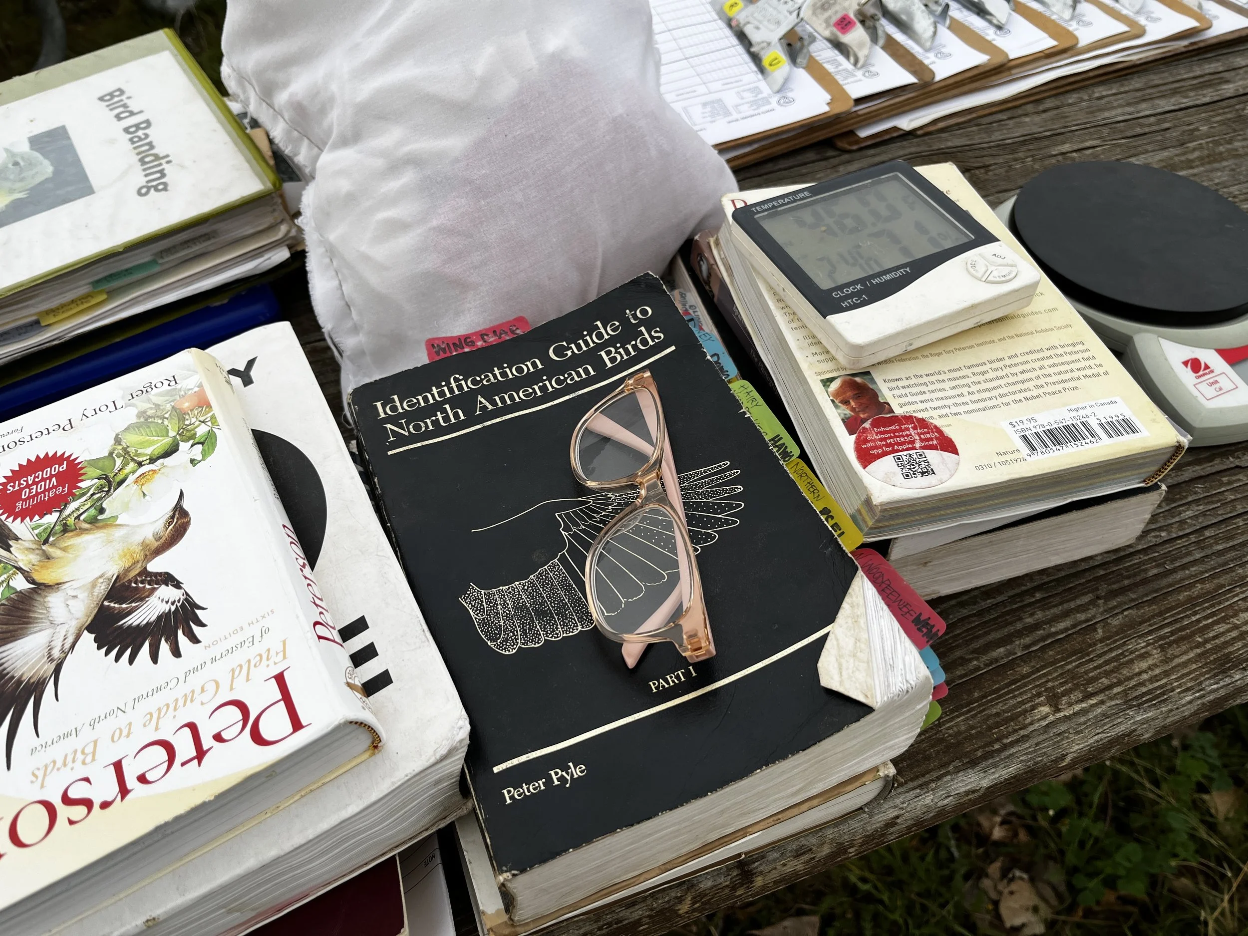 2026-5-MoorcroftBirdbanding6-PIC-ByNancySmall.jpg