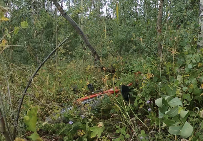 bikeinbushes - Jane Crayton.png