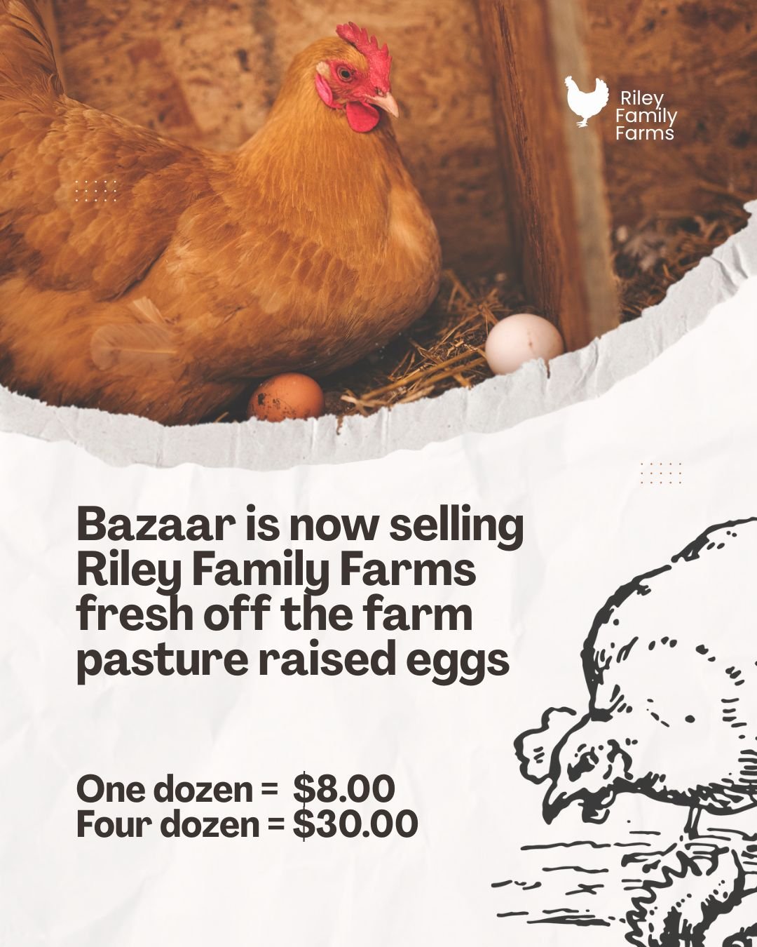 Riley Family Farms fresh eggs