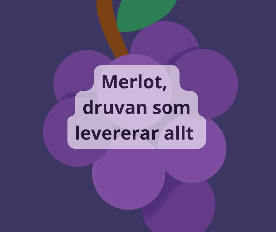 Merlot – ursprung, egenskaper och global betydelse.
