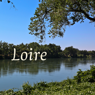 Loire – Frankrikes mest mångsidiga vinregion