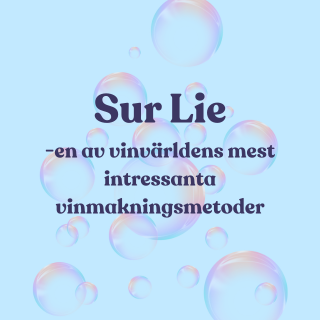 Sur Lie – den lilla detaljen som kan göra stor skillnad i glaset